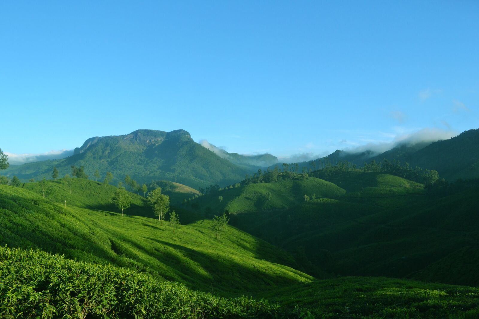 Nikon D3100 sample photo. Munnar, kerala, india photography