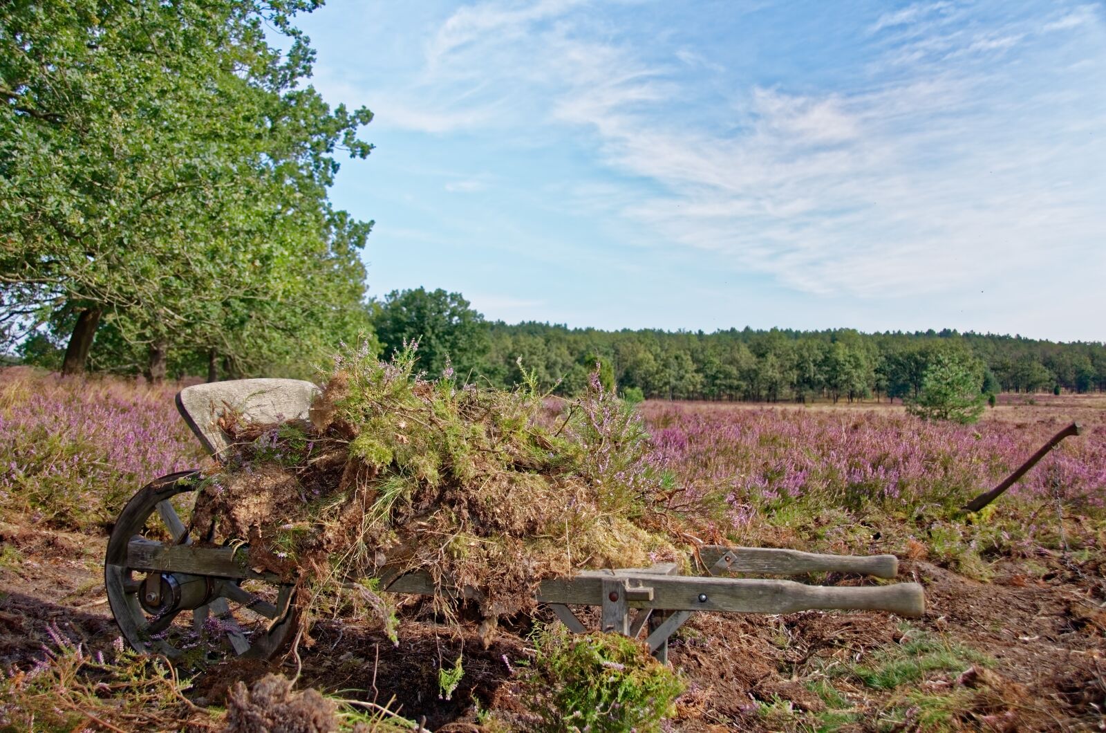 Nikon D7000 sample photo. Germany, l neburg heath photography