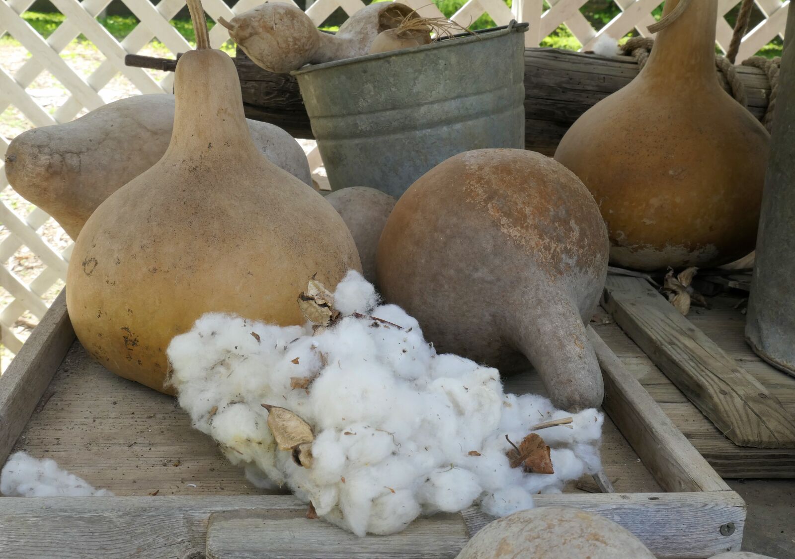 Panasonic DC-TZ200 sample photo. Butternut squash, cotton, rustic photography
