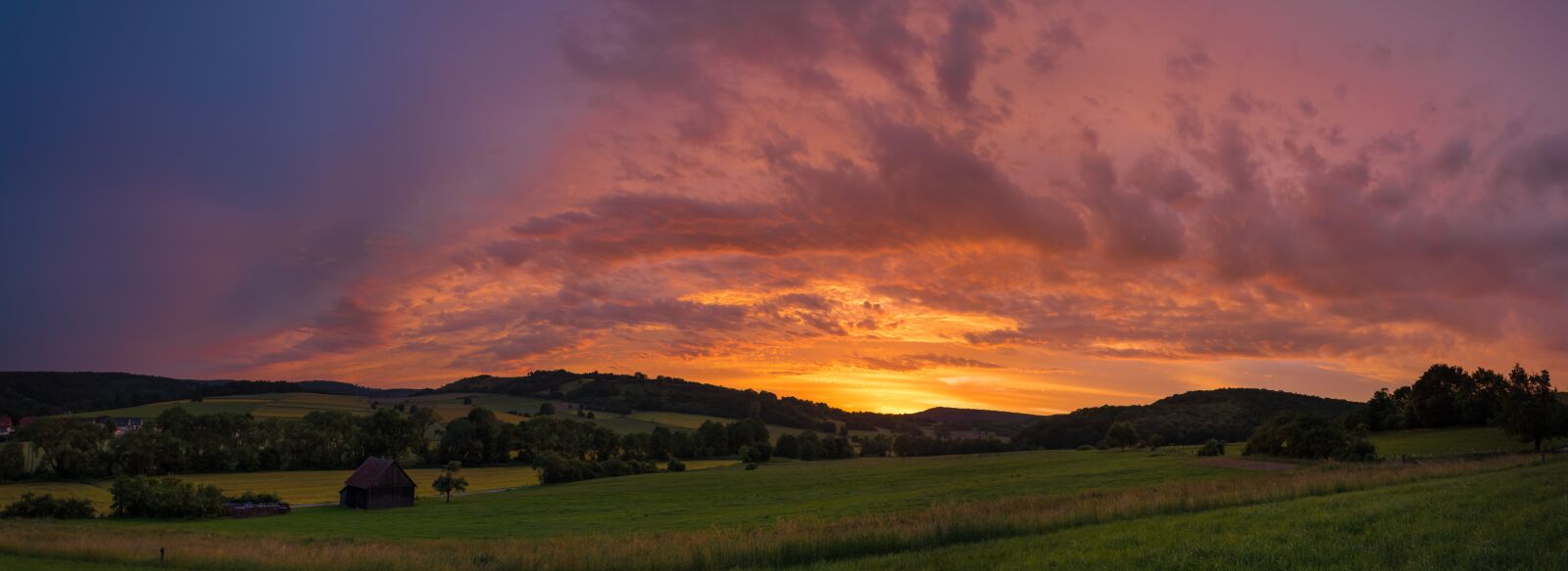 Nikon D5500 sample photo. Landscape, meadow, sunset photography