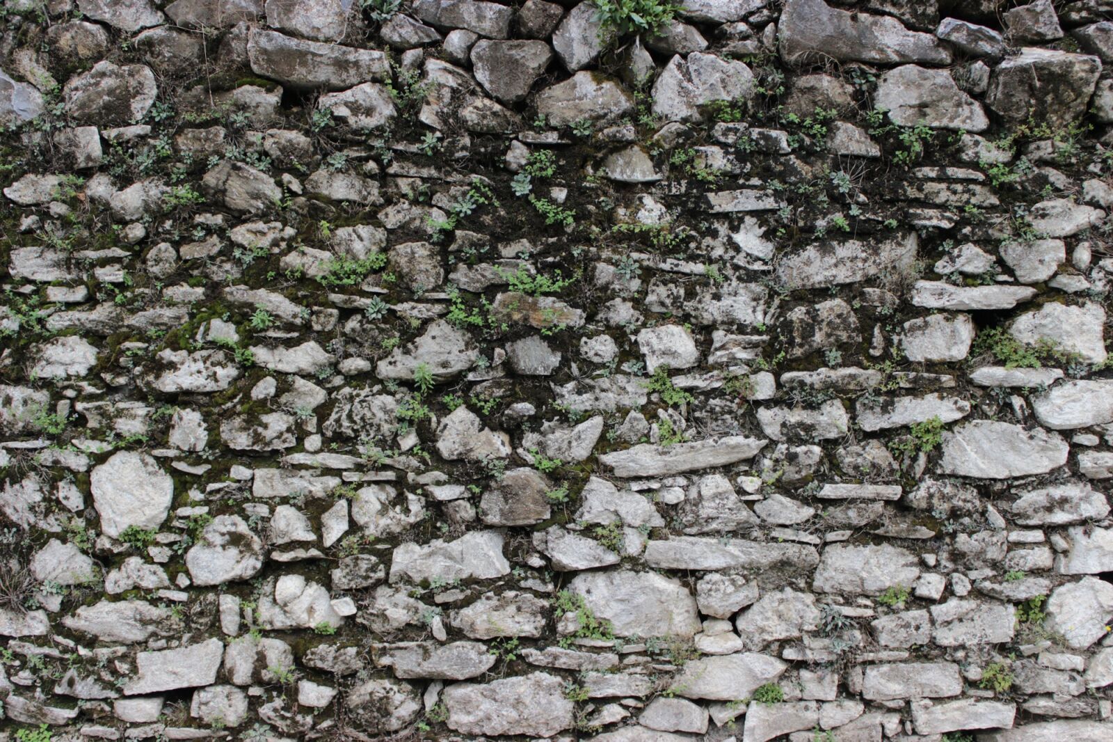 Canon EOS 600D (Rebel EOS T3i / EOS Kiss X5) sample photo. Wall, stones, life photography