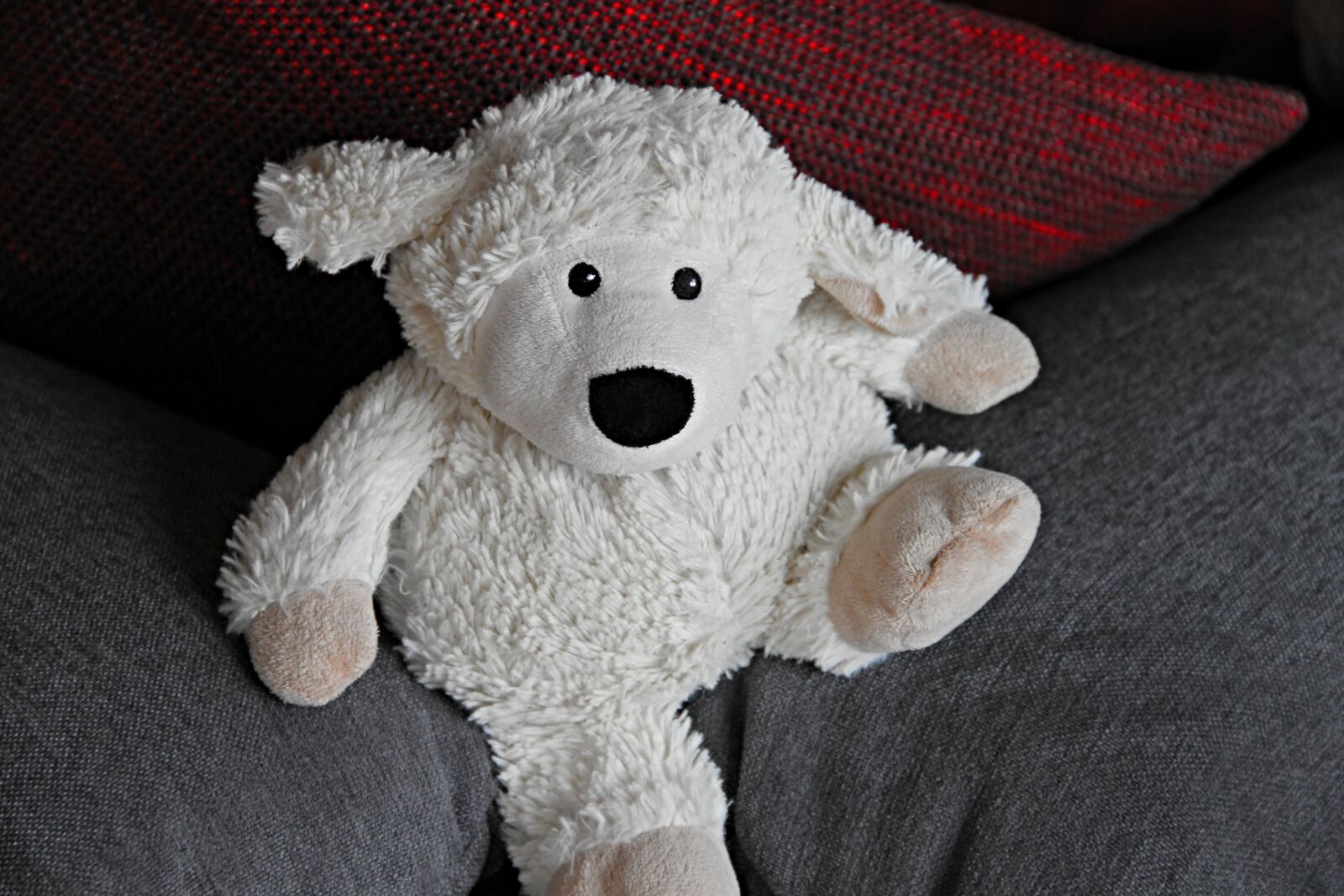 Canon EOS 1100D (EOS Rebel T3 / EOS Kiss X50) sample photo. Teddy bear, toys, teddy photography