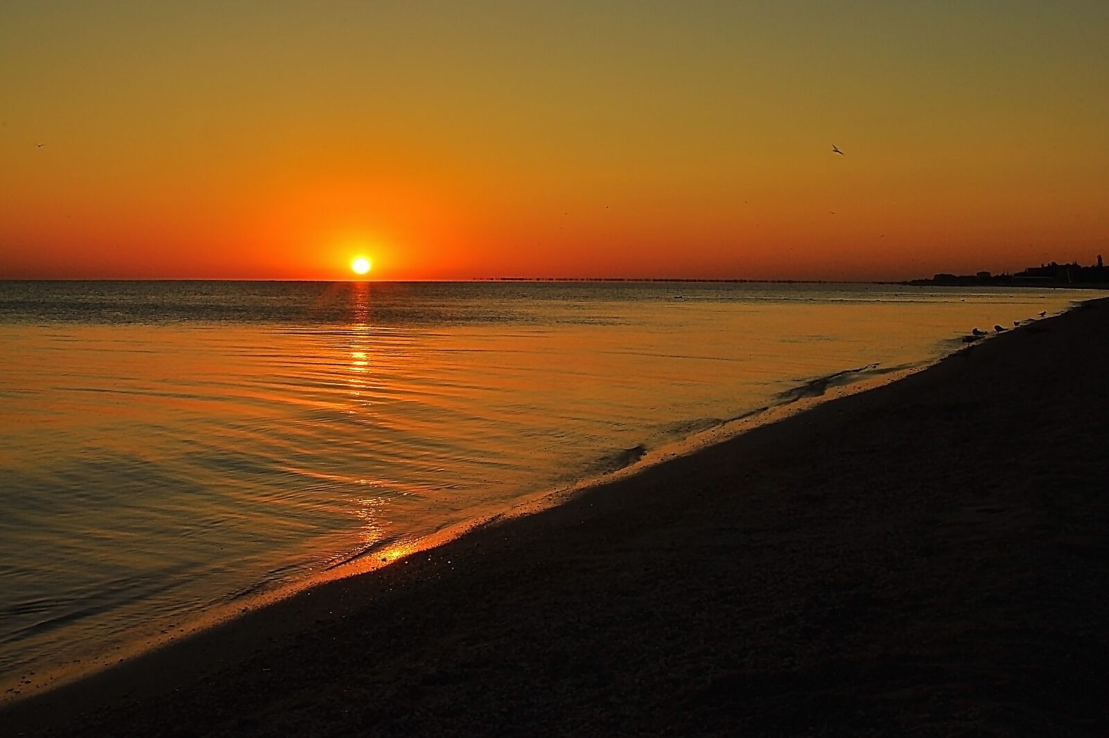 Nikon D90 sample photo. Sea, sand, beach photography
