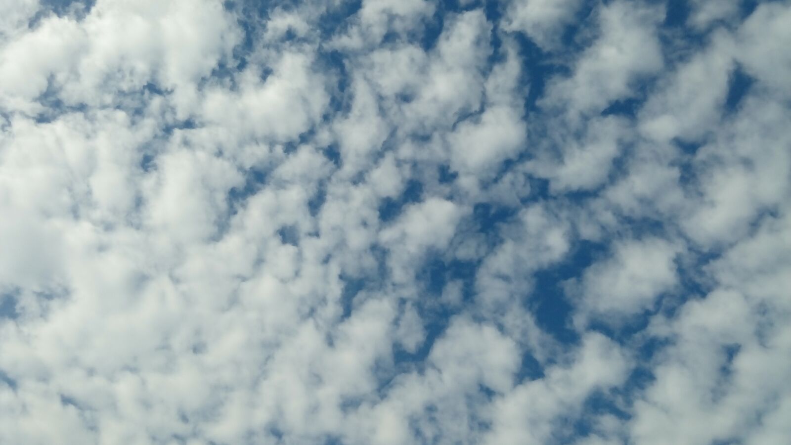 Lenovo X2-AP sample photo. Sky, blue, cloud photography