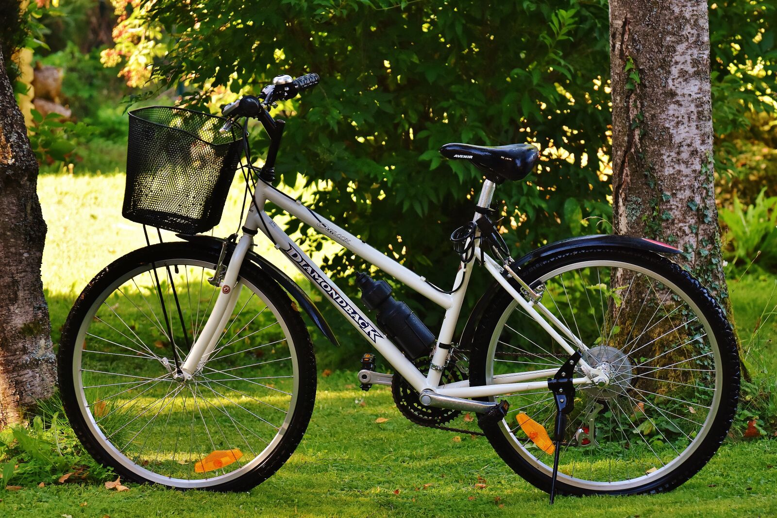Nikon D7200 sample photo. Bike, cycle, wheel photography
