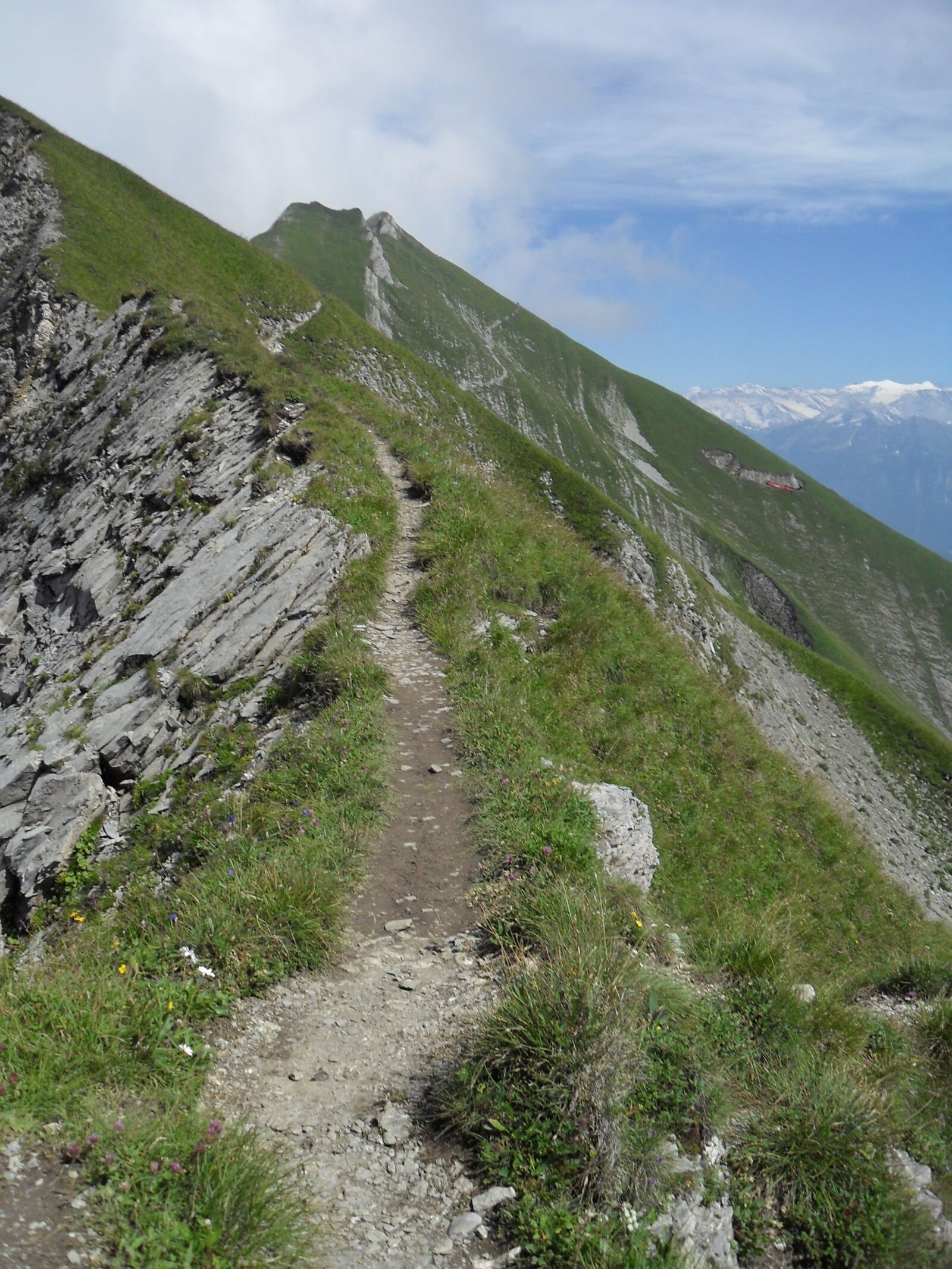 Samsung PL51 / VLUU PL51 /  SL203 sample photo. H henweg, brienzer rothorn photography