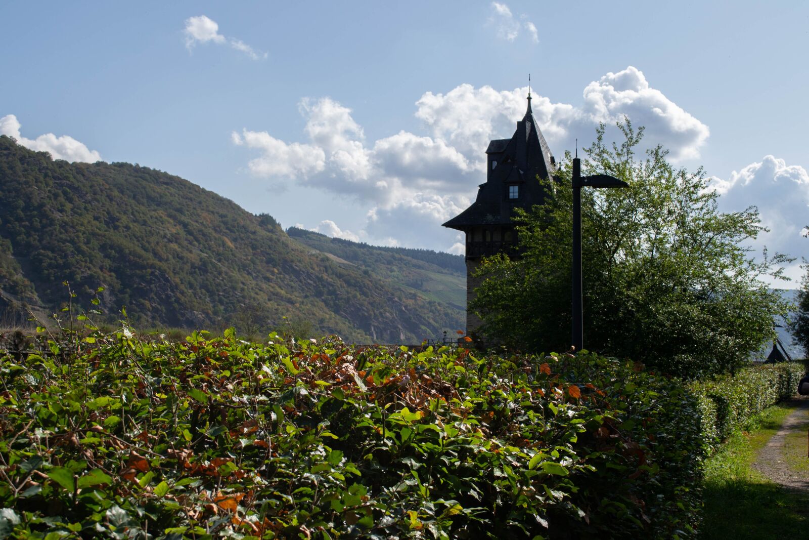 Nikon D3100 sample photo. Germany, the old city photography