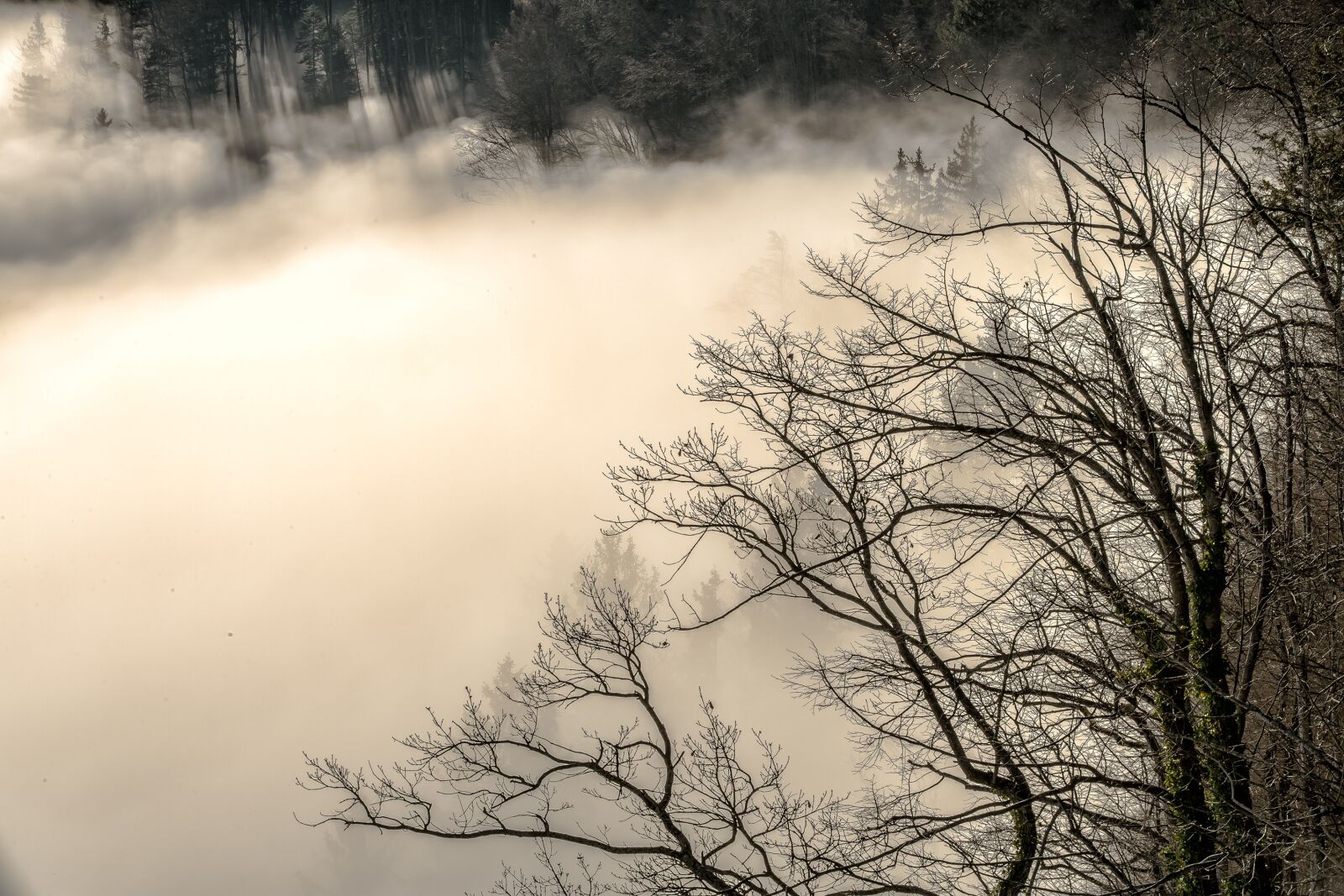 Canon EOS 5D Mark III sample photo. Sea of fog, alpine photography