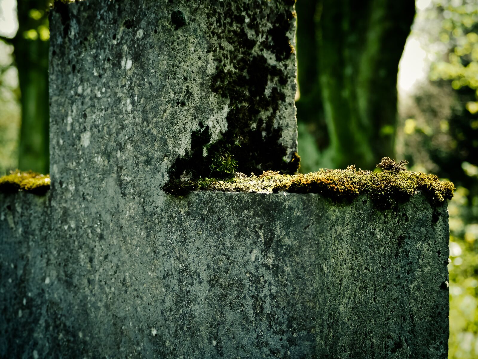 Olympus OM-D E-M10 sample photo. Cross, moss, stone cross photography