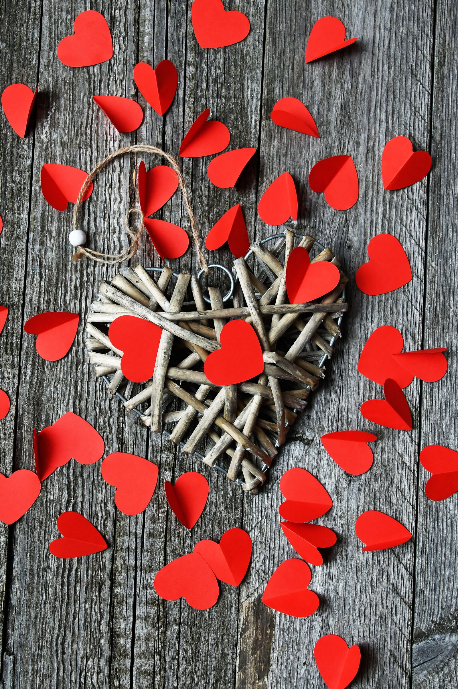 Nikon D3200 sample photo. Rose, valentine's, valentine's day photography