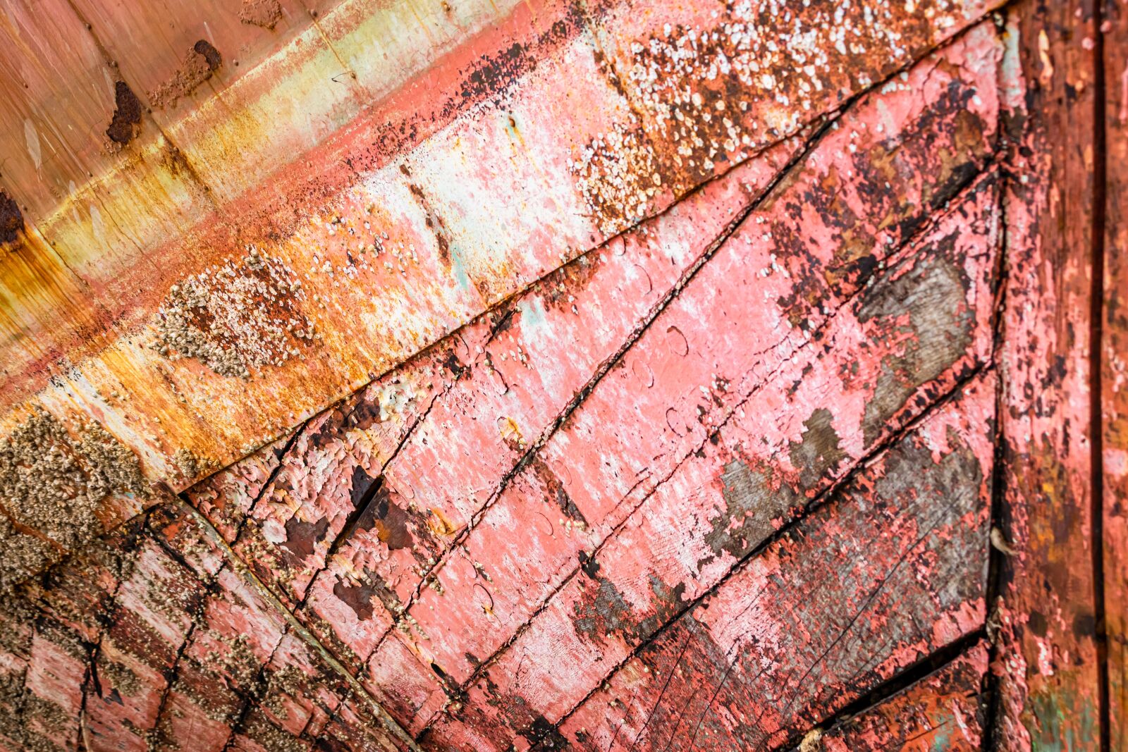 Canon EOS 80D sample photo. Wood, ship, planks photography