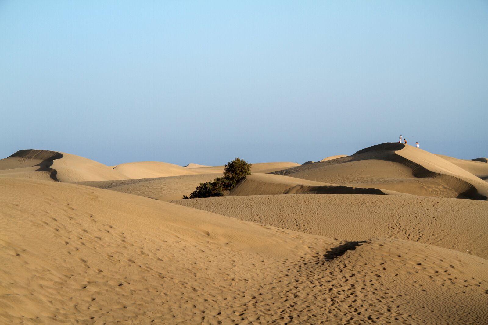 Canon EOS 7D sample photo. Maspalomas, dunes, sand dunes photography