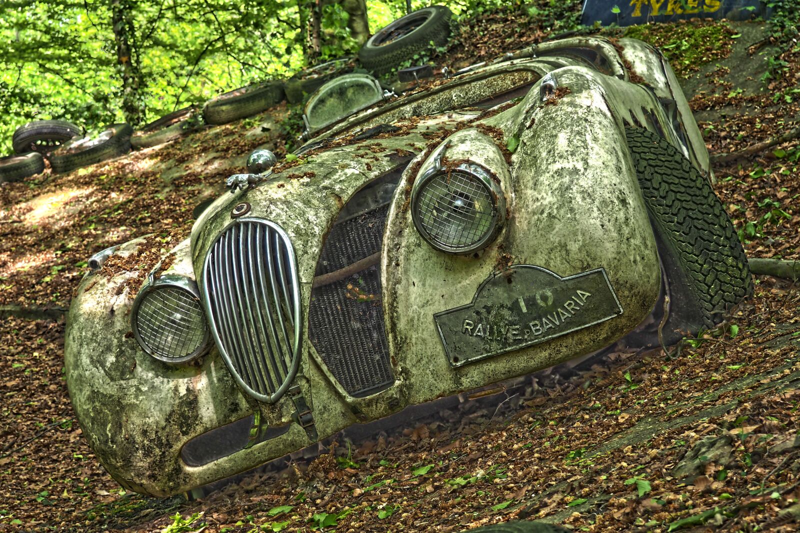 Olympus OM-D E-M10 sample photo. Auto, car cemetery, oldtimer photography