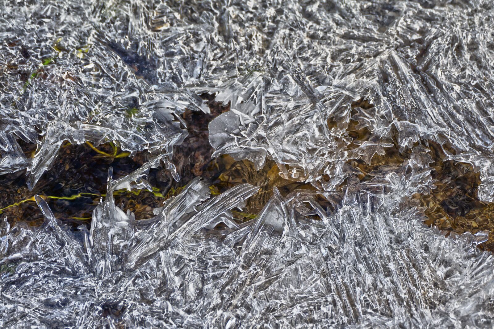 Panasonic Lumix DMC-FZ1000 sample photo. Water, icy, eiskristalle photography