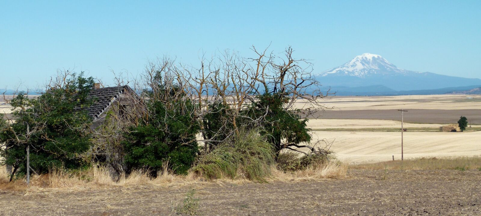 Panasonic Lumix DMC-FZ100 sample photo. Mount hood, volcano, wilderness photography