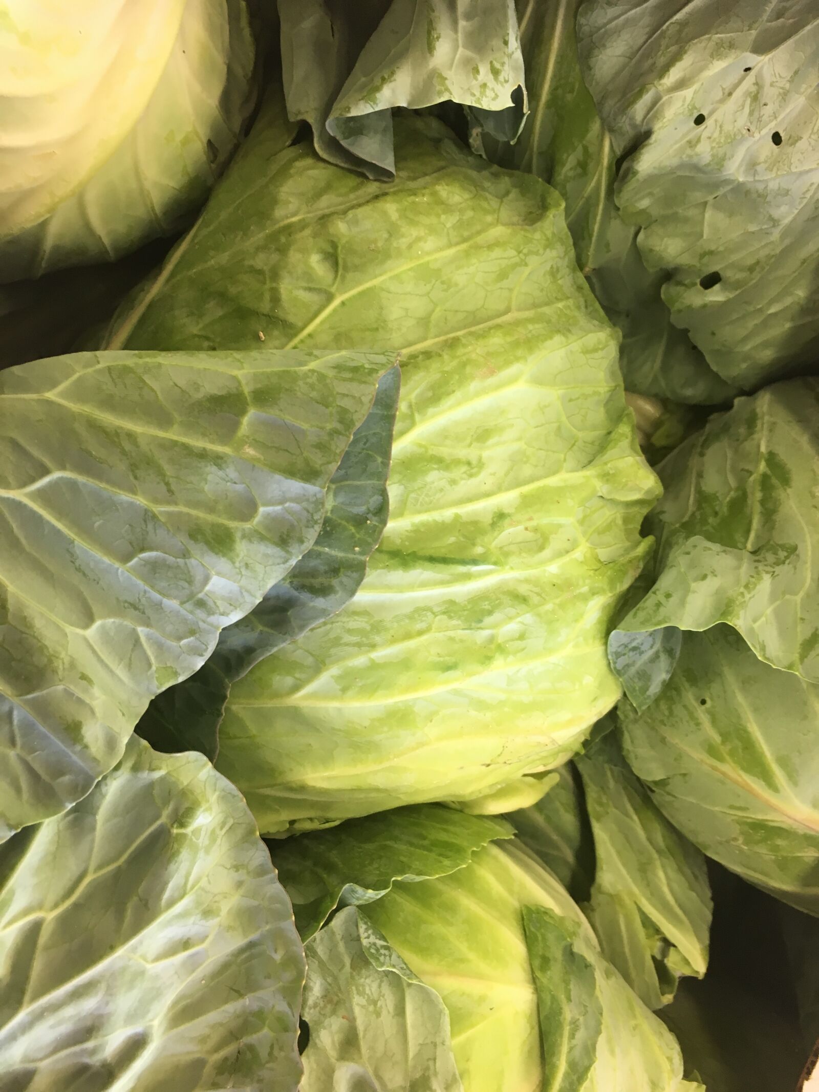 Apple iPhone 6s sample photo. Bananabox, market, fresh, cabbage photography