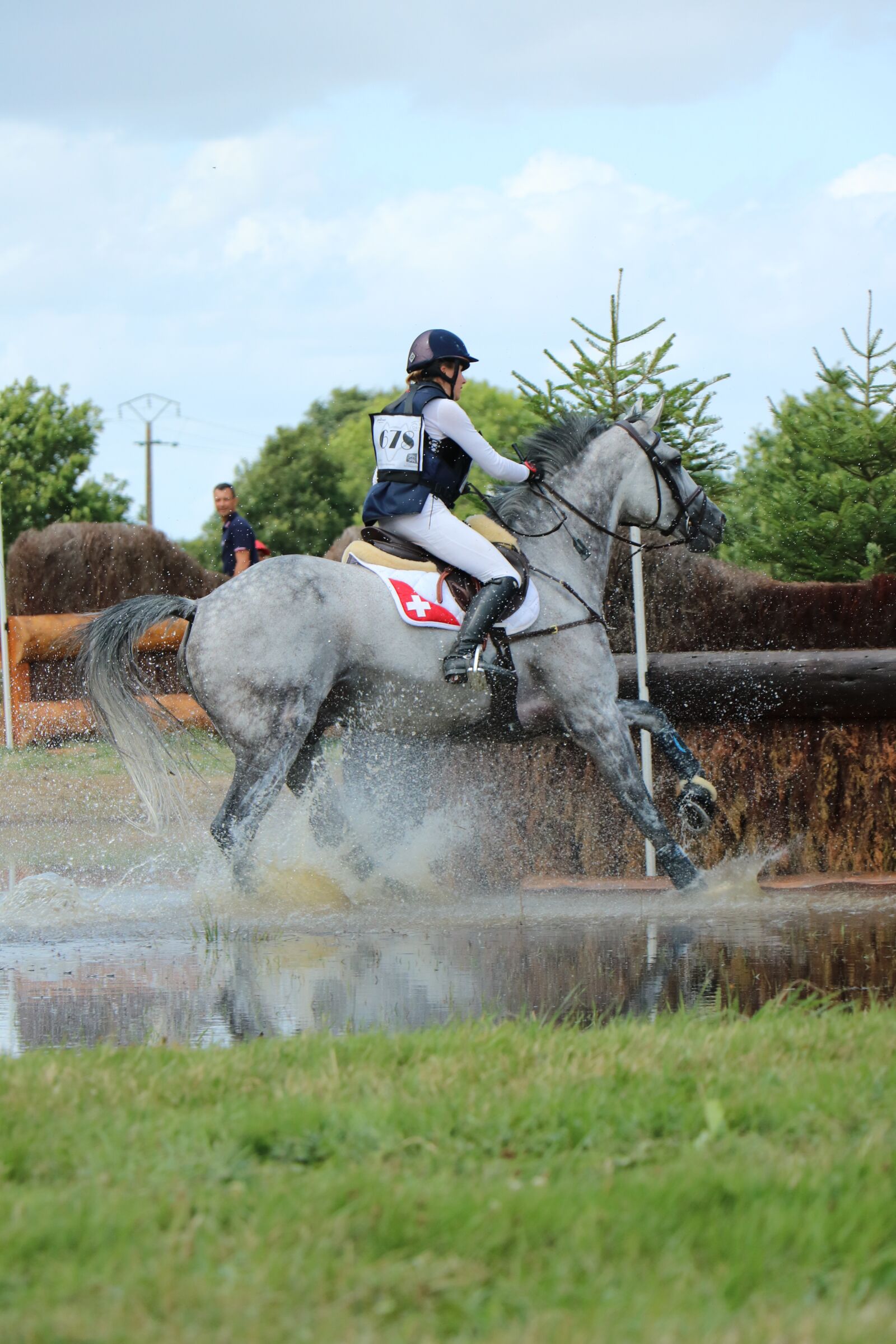 Canon EOS 750D (EOS Rebel T6i / EOS Kiss X8i) sample photo. Haras du pin, national photography