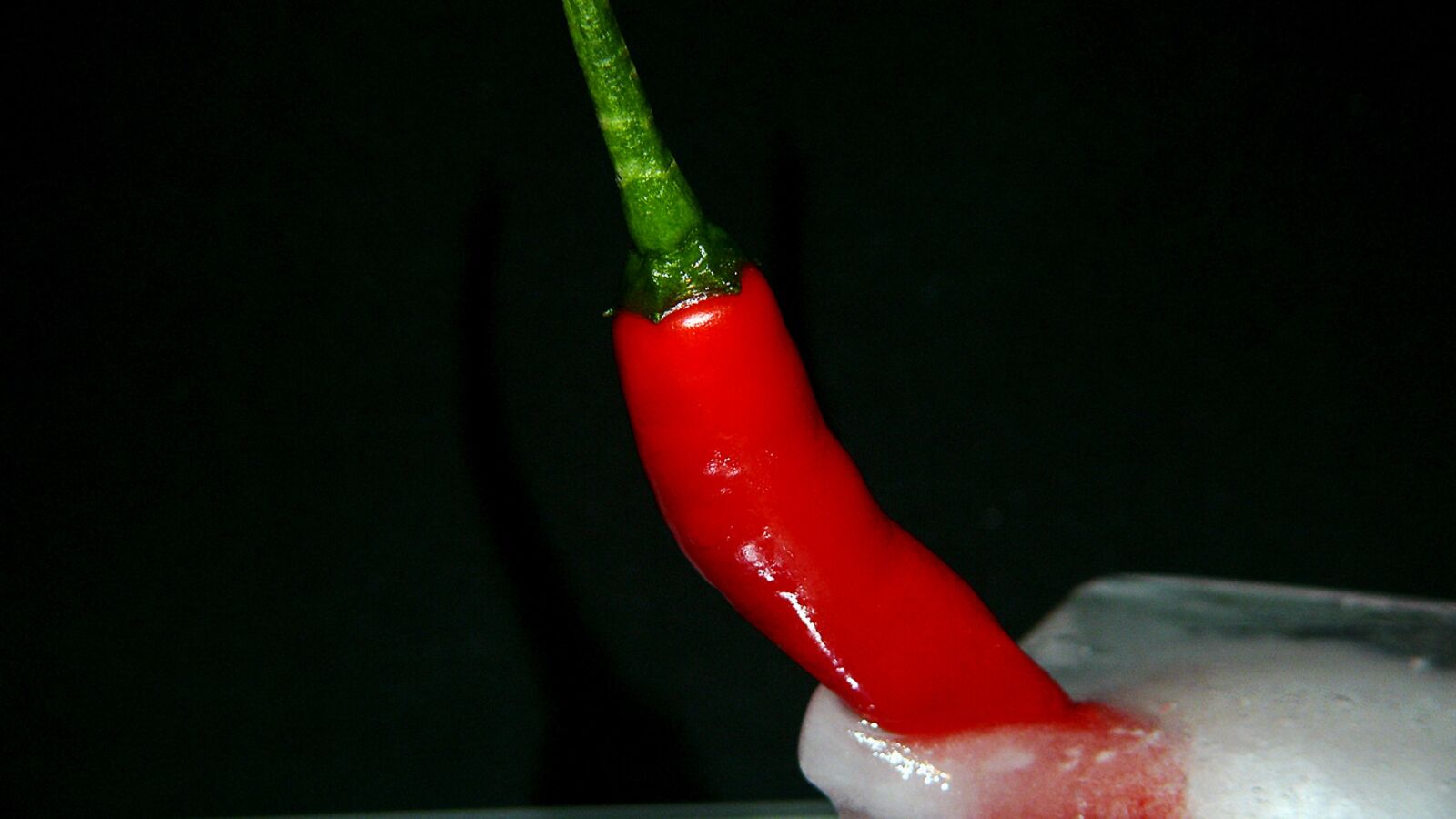 Leica V-LUX 1 sample photo. Appetizing, berry, delicate photography
