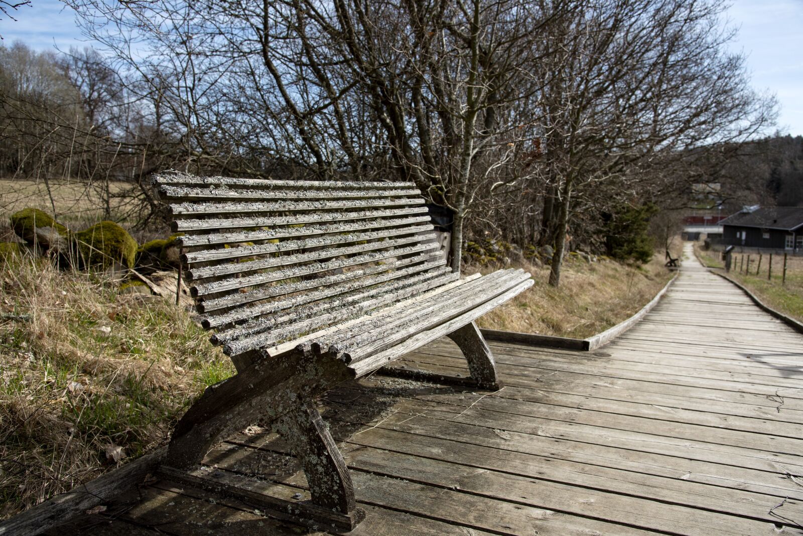 Nikon D750 sample photo. Sofa, parksoffa, bench photography