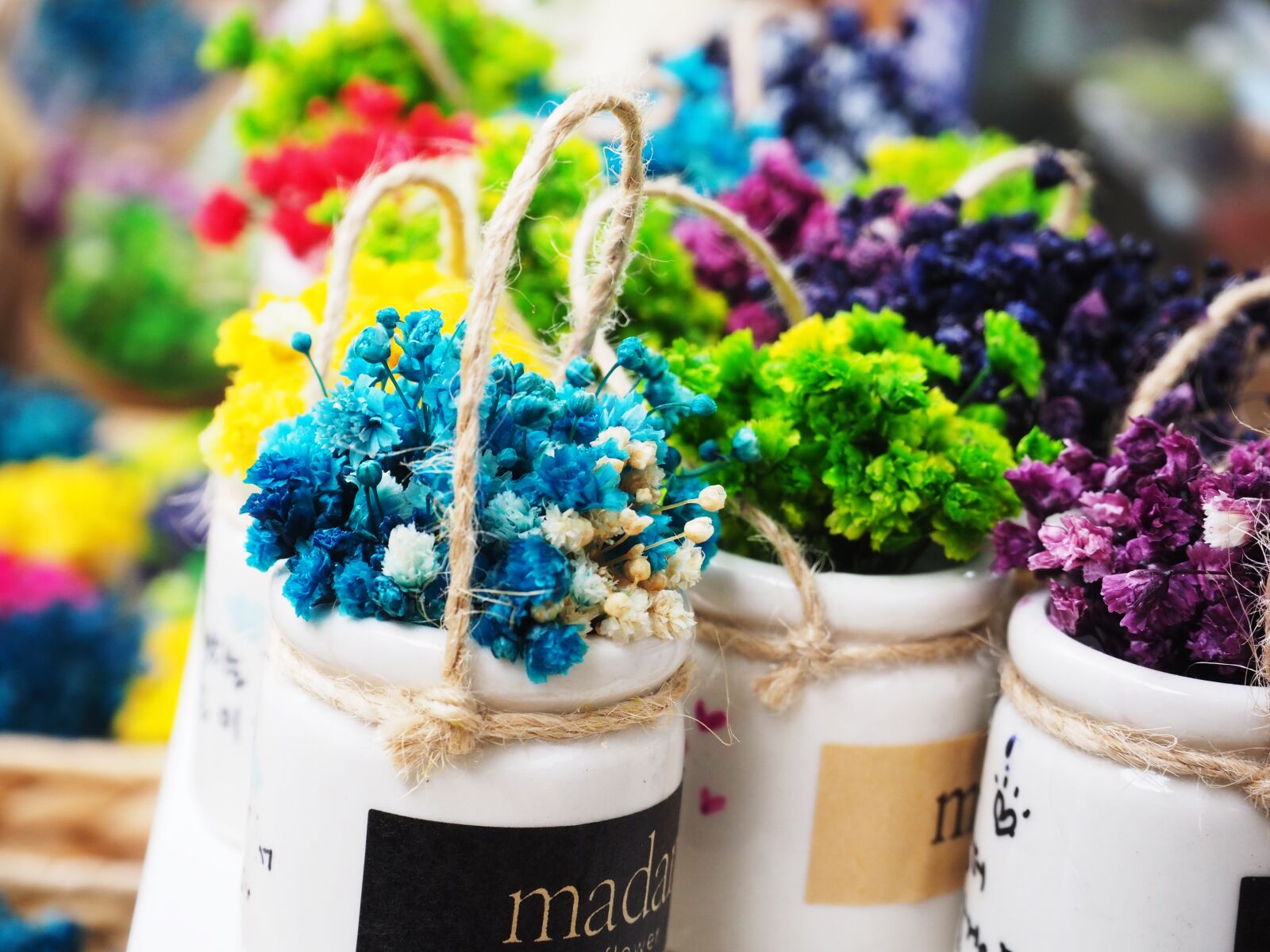 Olympus PEN-F sample photo. Flowers, potted plant photography