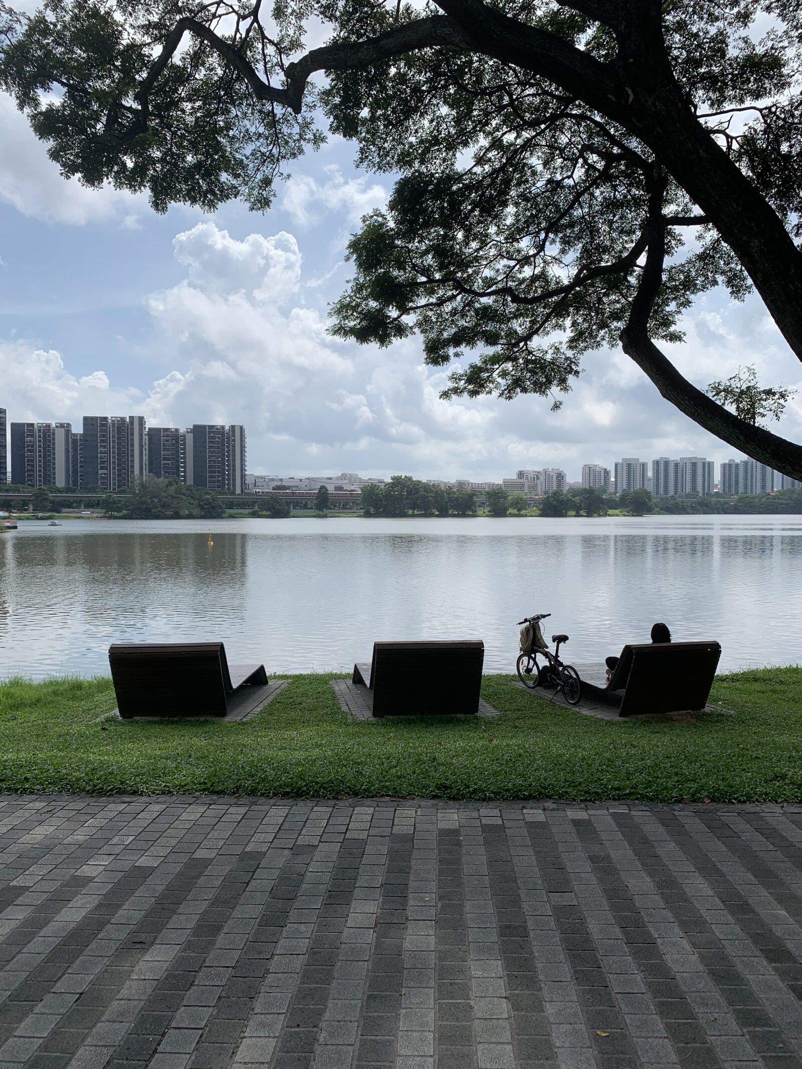 iPhone XR back camera 4.25mm f/1.8 sample photo. Nature, reflect, water photography