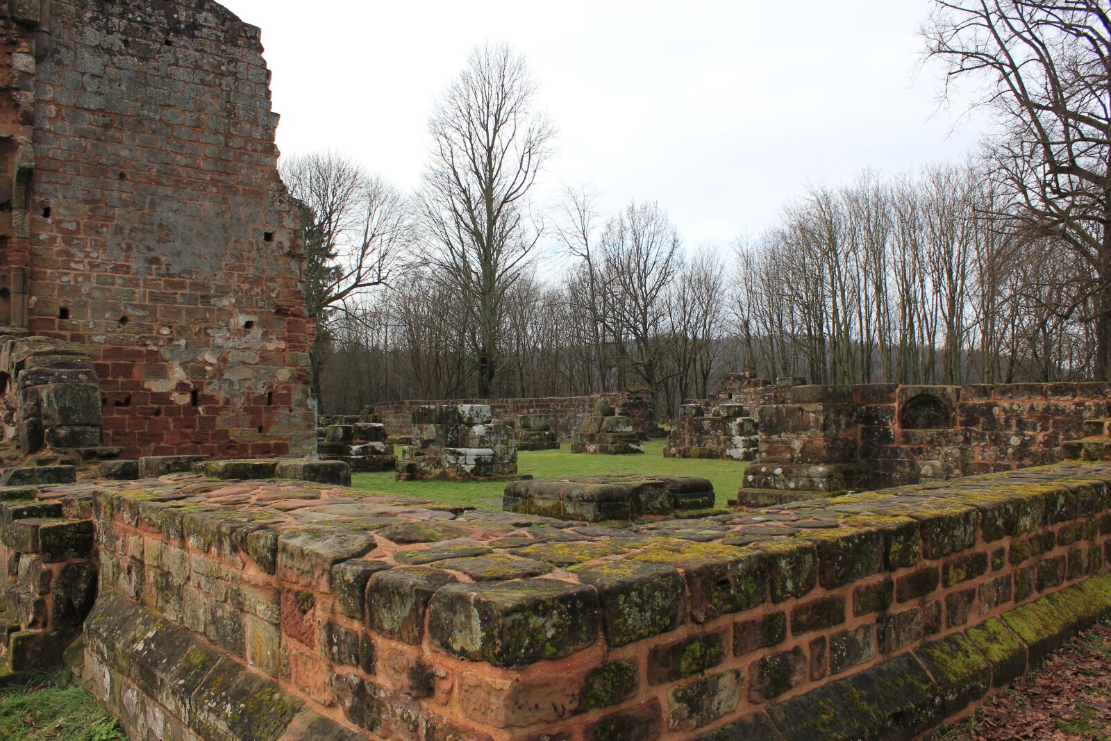 Canon EOS 550D (EOS Rebel T2i / EOS Kiss X4) sample photo. Ruin, monastery, middle ages photography