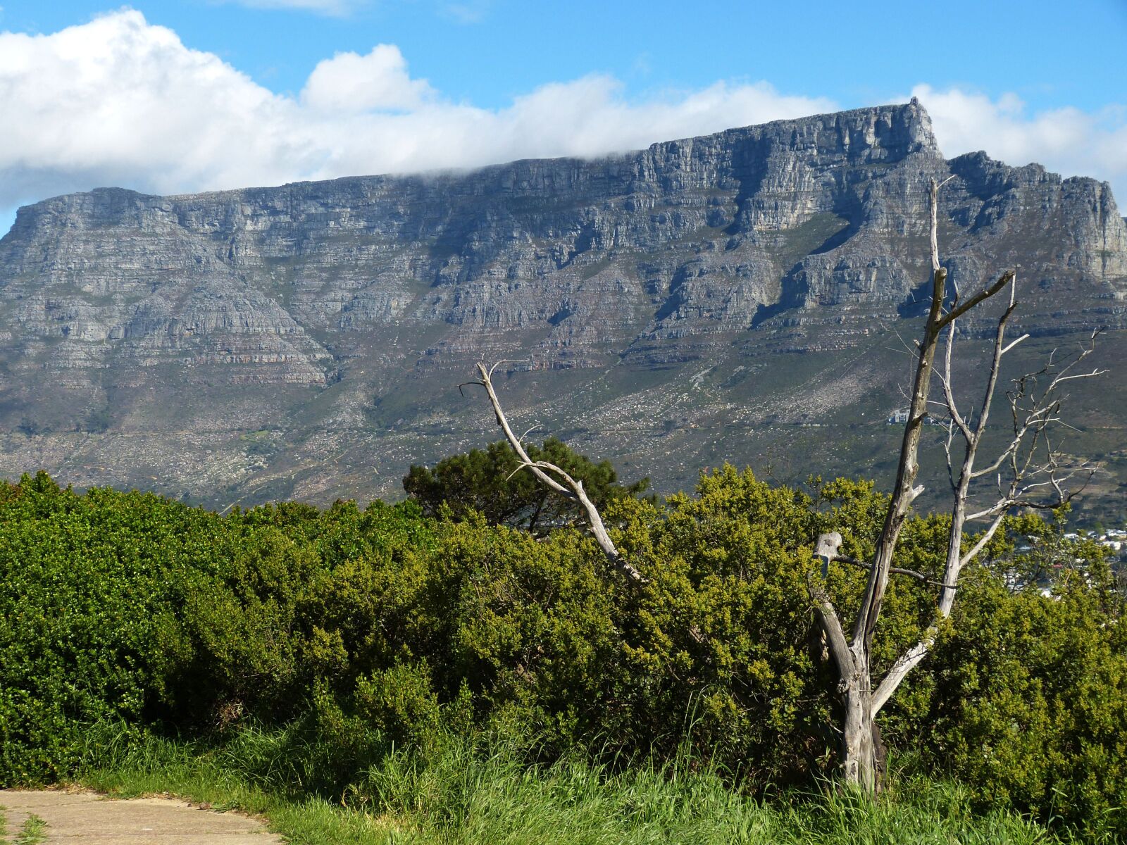 Panasonic Lumix DMC-FZ150 sample photo. South africa, cape town photography
