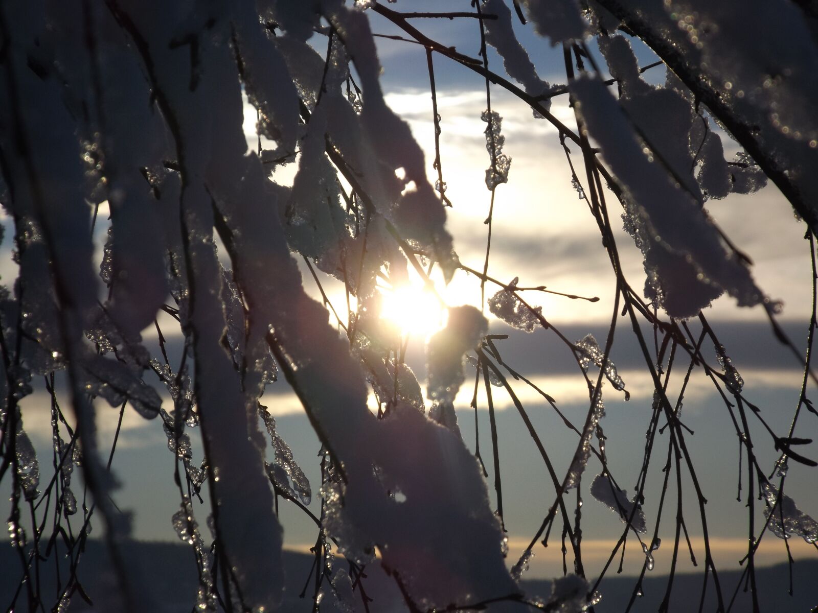 Fujifilm FinePix S4700 sample photo. Sunset, sopelki, ground frost photography
