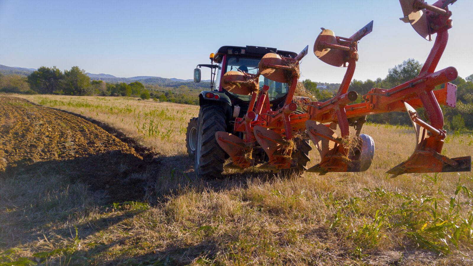 LG G4 sample photo. Tractor, labour, agricultural machine photography