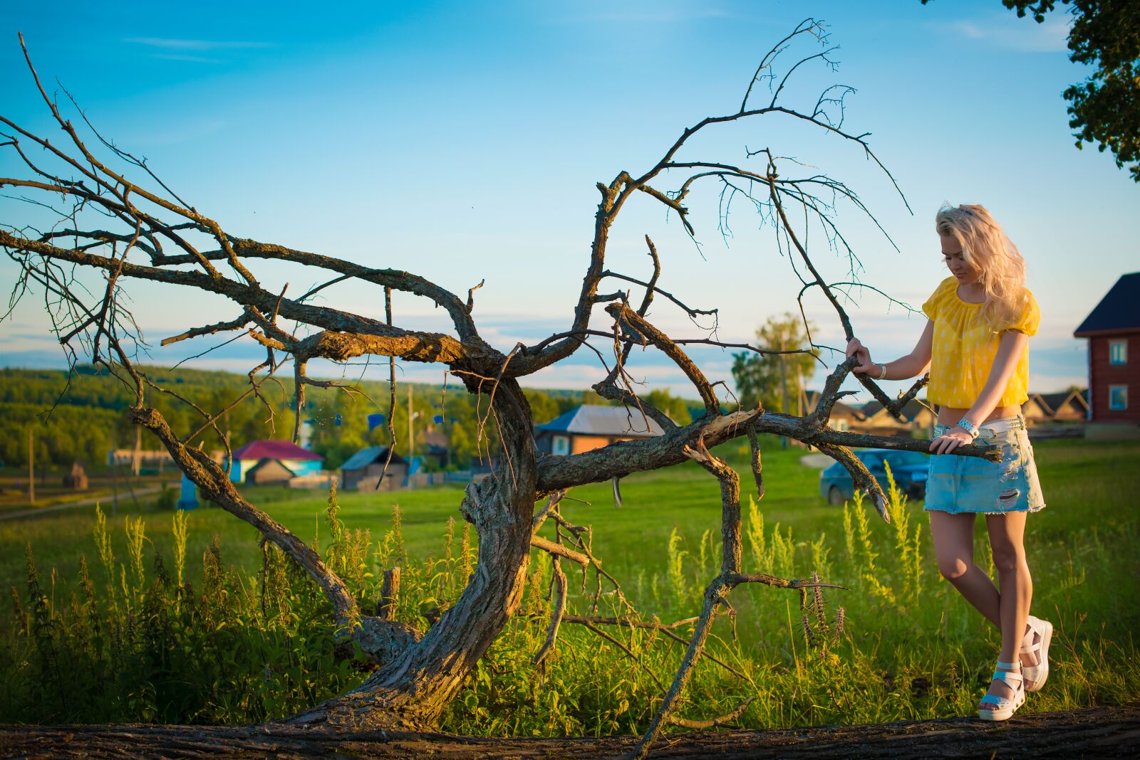 Nikon D800 sample photo. Old tree, the girl photography