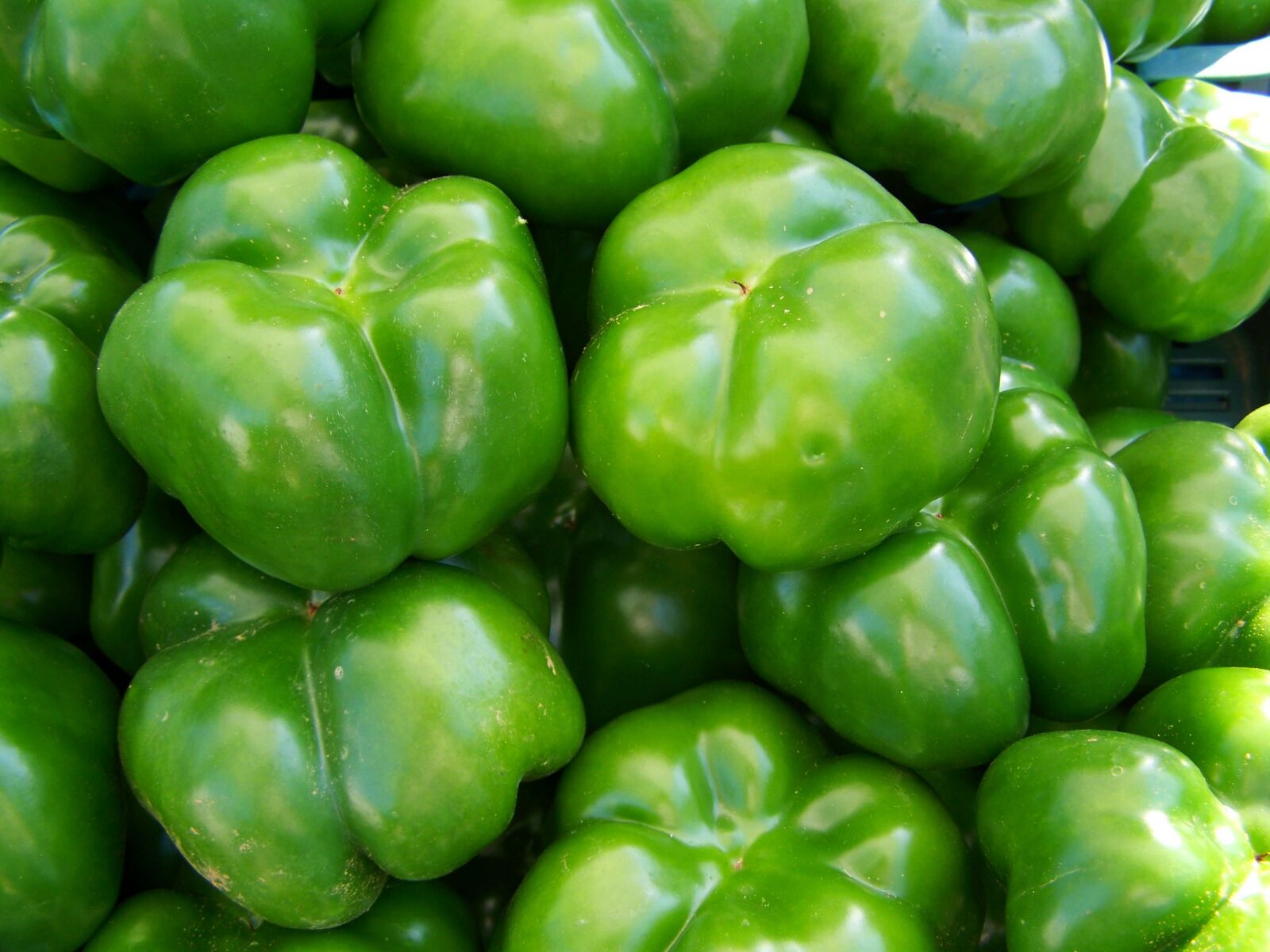 Kodak EASYSHARE ZD710 ZOOM DIGITAL CAMERA sample photo. Green pepper, vegetables, food photography