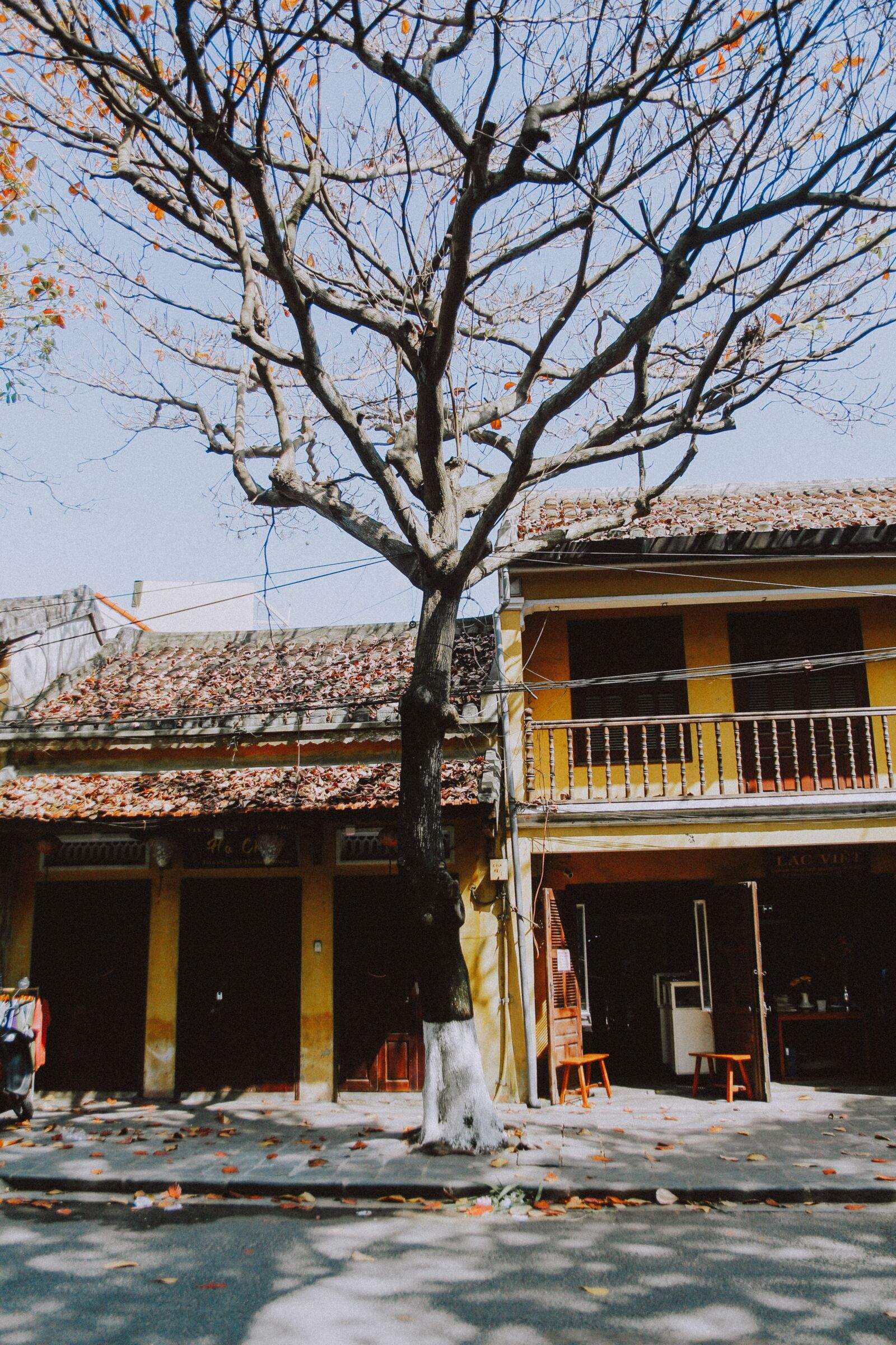 Canon EOS 700D (EOS Rebel T5i / EOS Kiss X7i) sample photo. Hoian, danang, vietnam photography