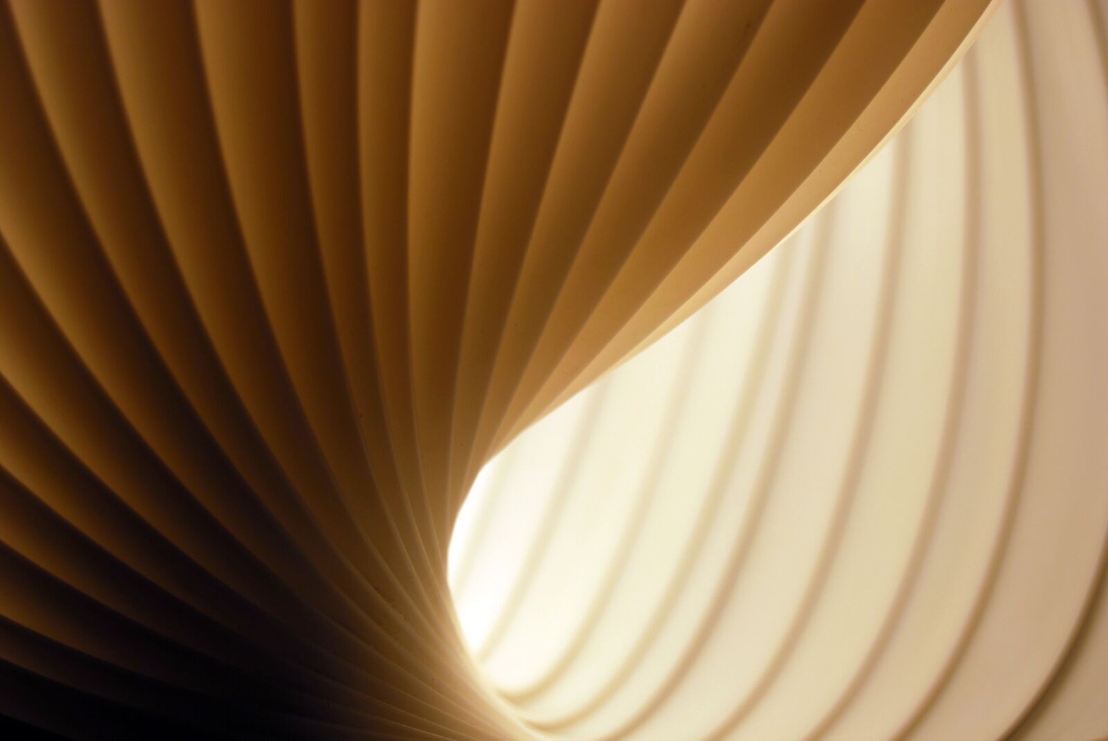 Nikon D40X sample photo. Lamp, lighting, light photography