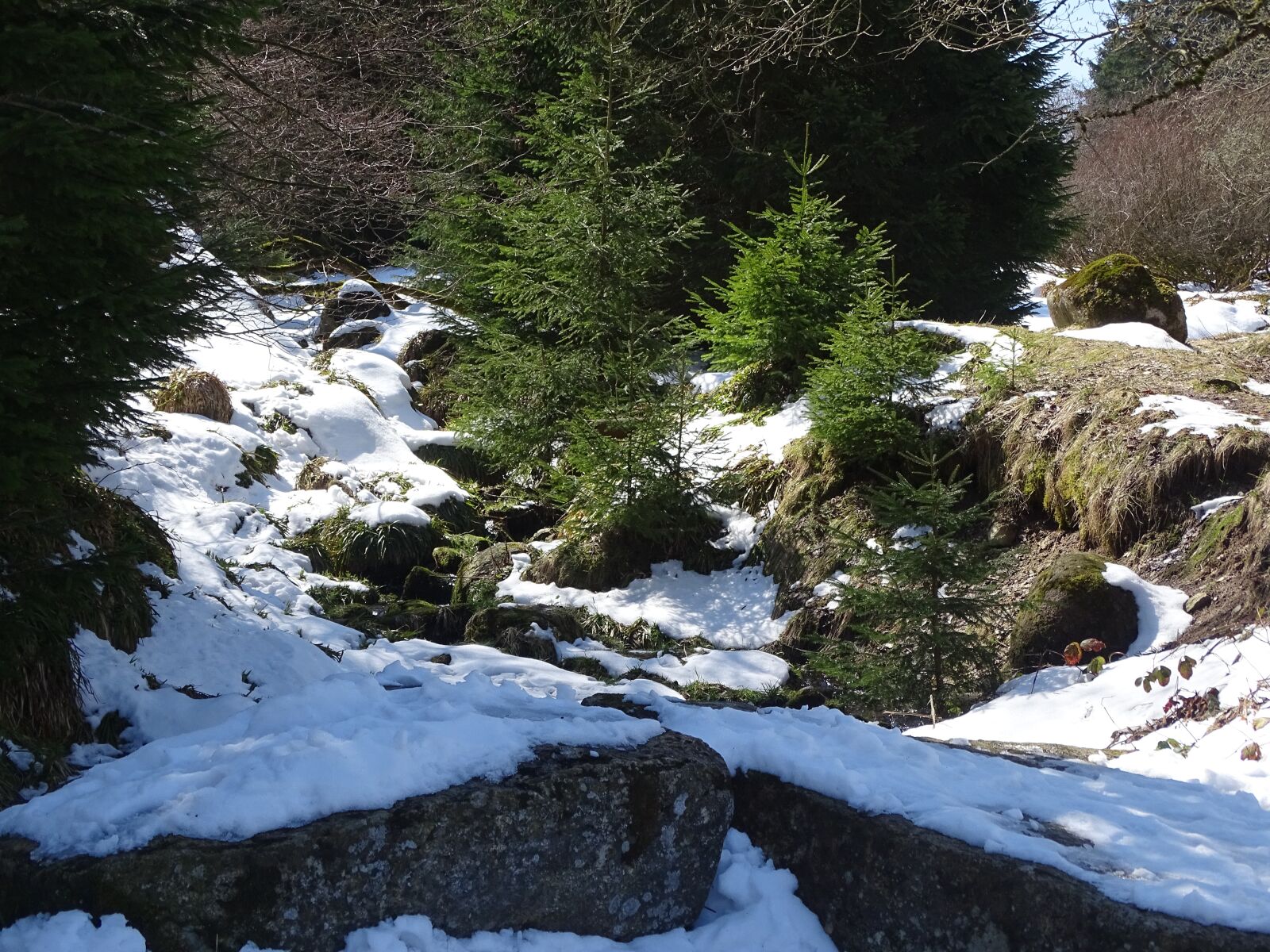 Sony Cyber-shot DSC-HX400V sample photo. Winter, snow, mountains photography