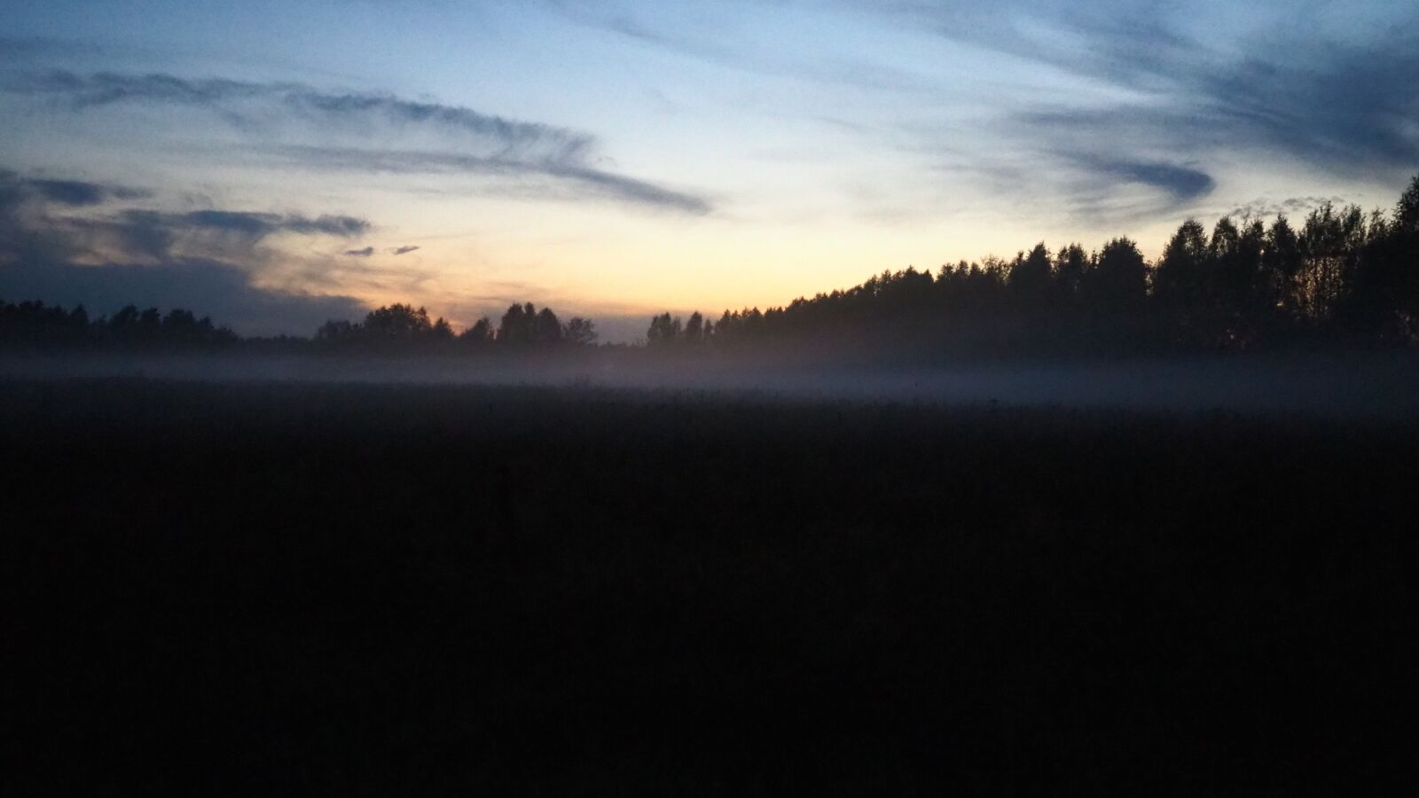 Olympus M.Zuiko Digital 17mm F1.8 sample photo. Fog, field, forest photography