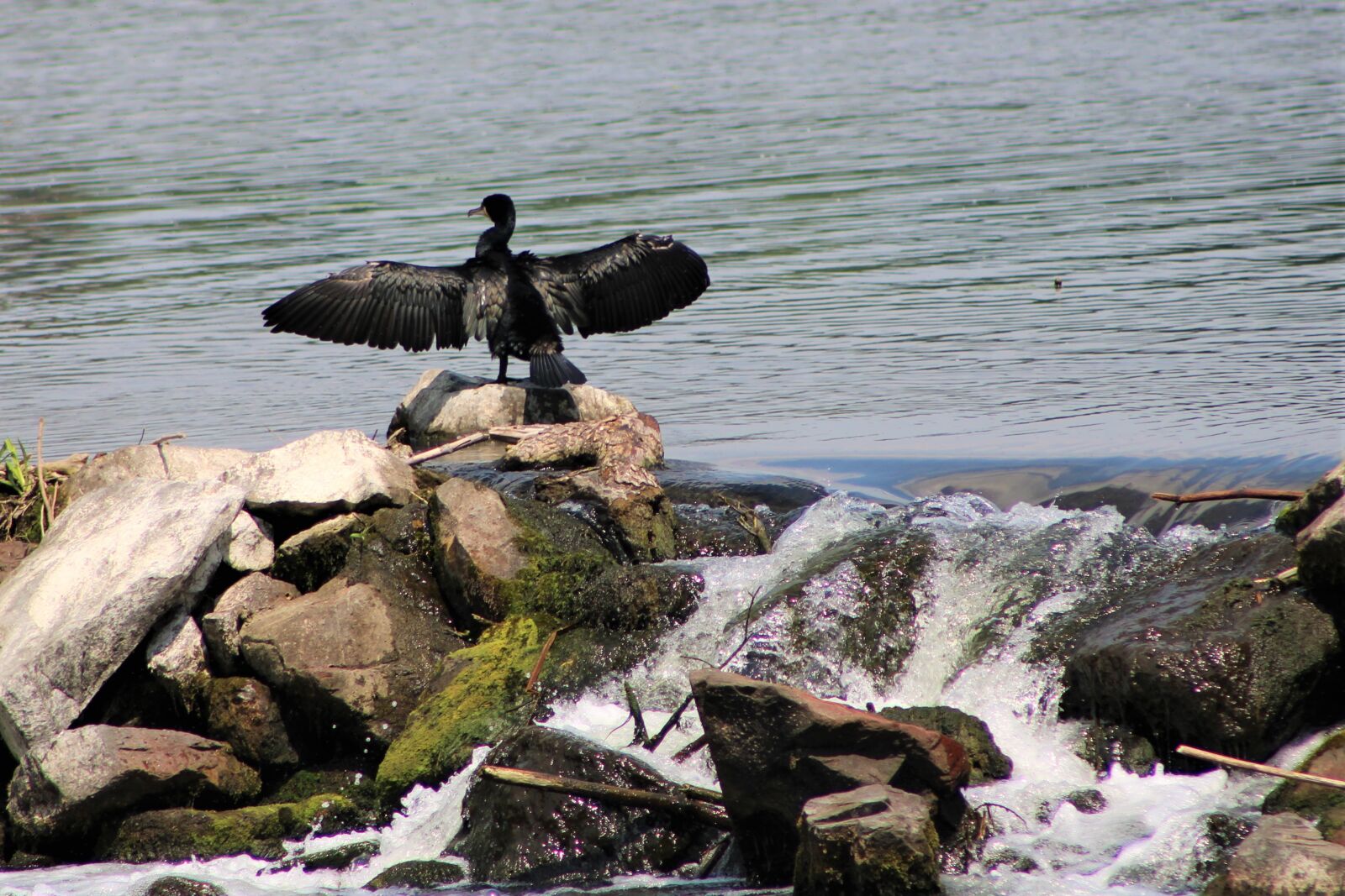 Canon EF75-300mm f/4-5.6 sample photo. Water, river, waterfall photography