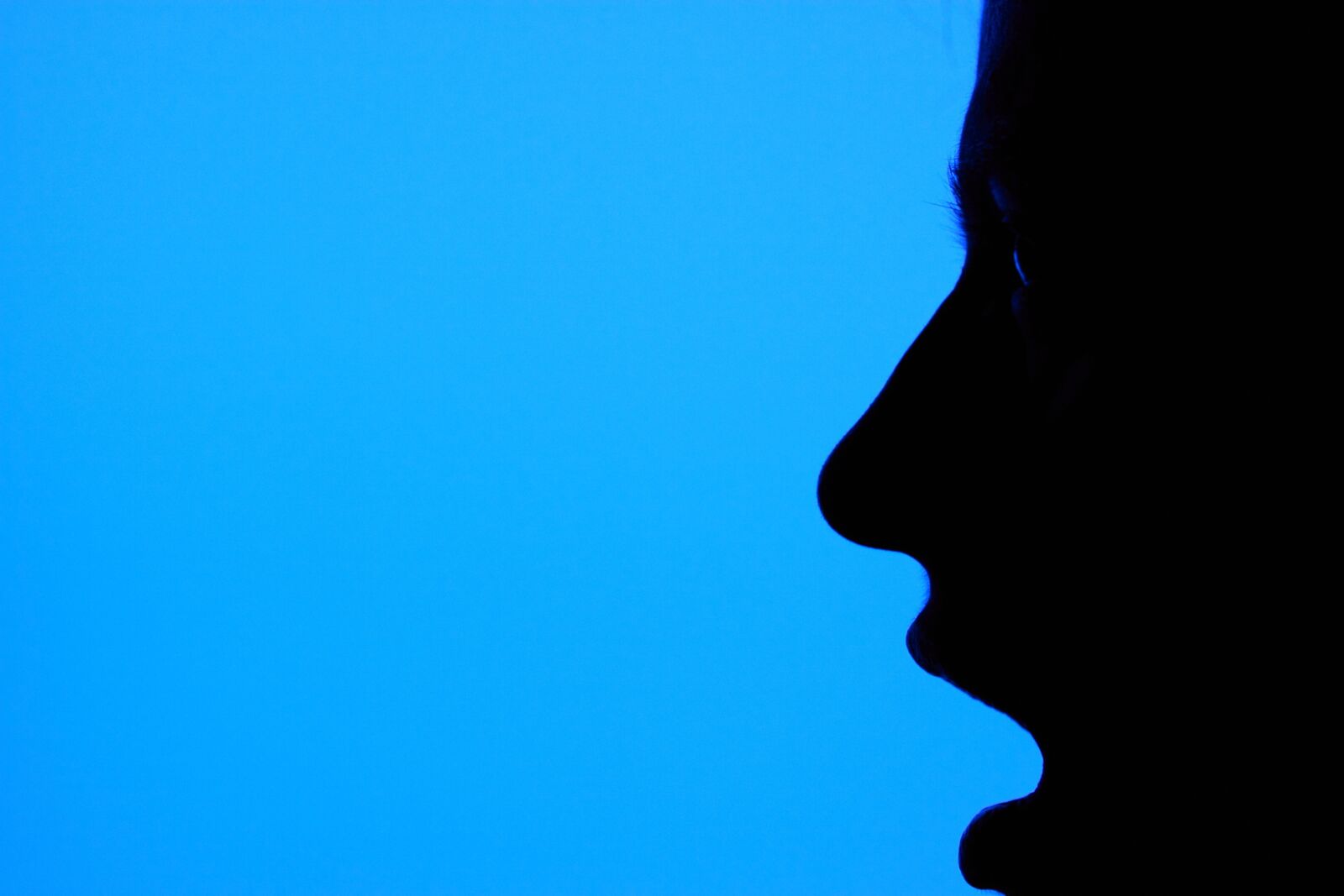 Canon EOS 50D sample photo. Woman, silhouette, profile photography