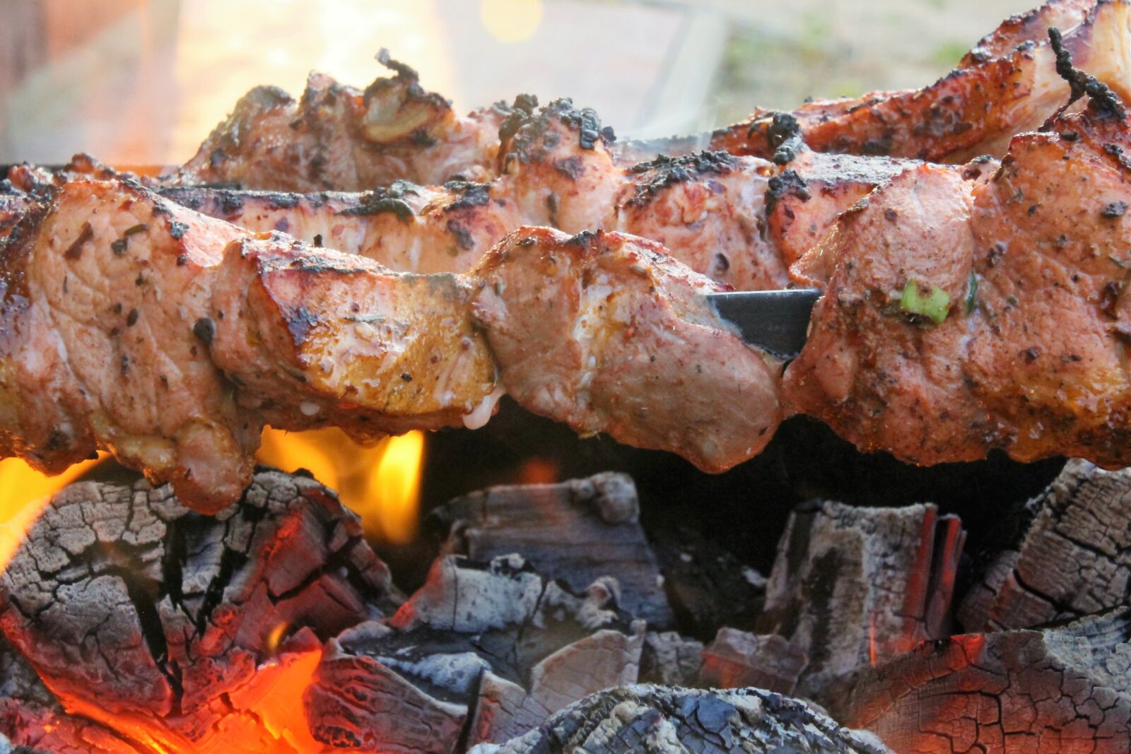 Canon EOS 60D sample photo. Shish kebab, fire, coals photography