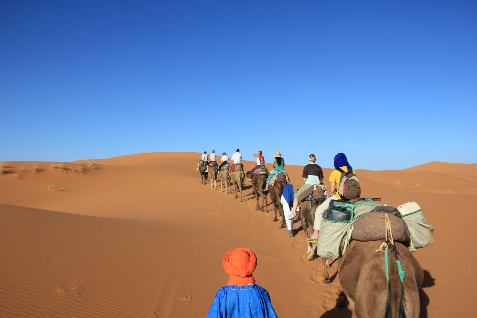 Canon EOS 550D (EOS Rebel T2i / EOS Kiss X4) sample photo. Camels, desert, africa photography