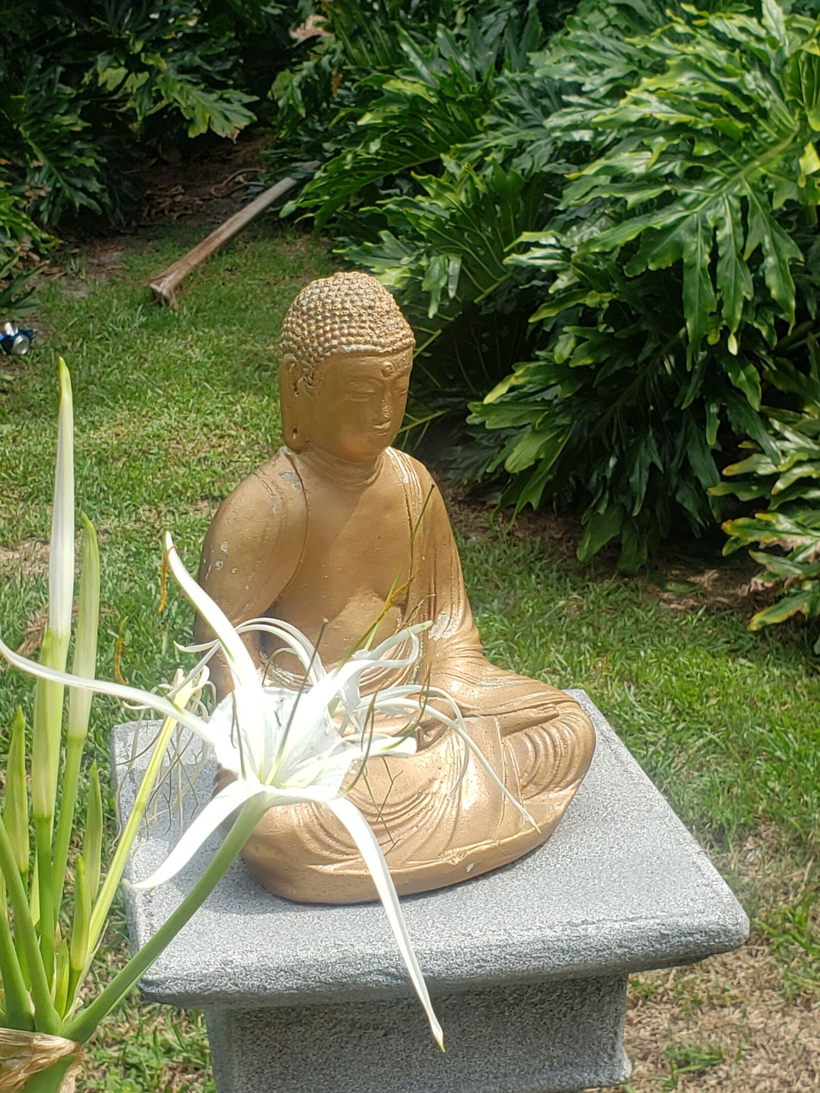 Samsung Galaxy S9 sample photo. Buddha, spider lily, flower photography