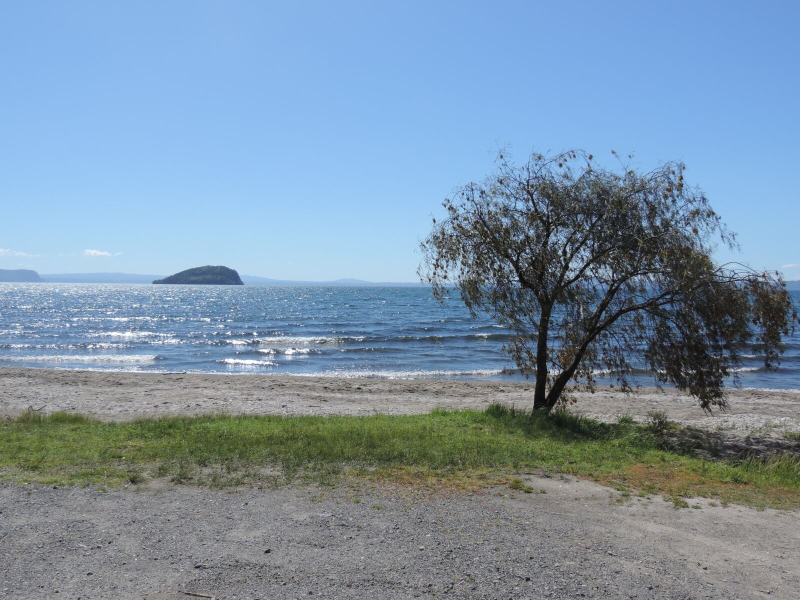 Nikon Coolpix P520 sample photo. Tree, more, coast photography