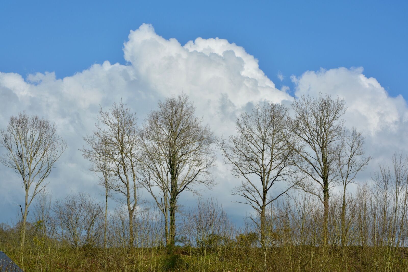 Nikon D5200 sample photo. Panoramic view on the photography