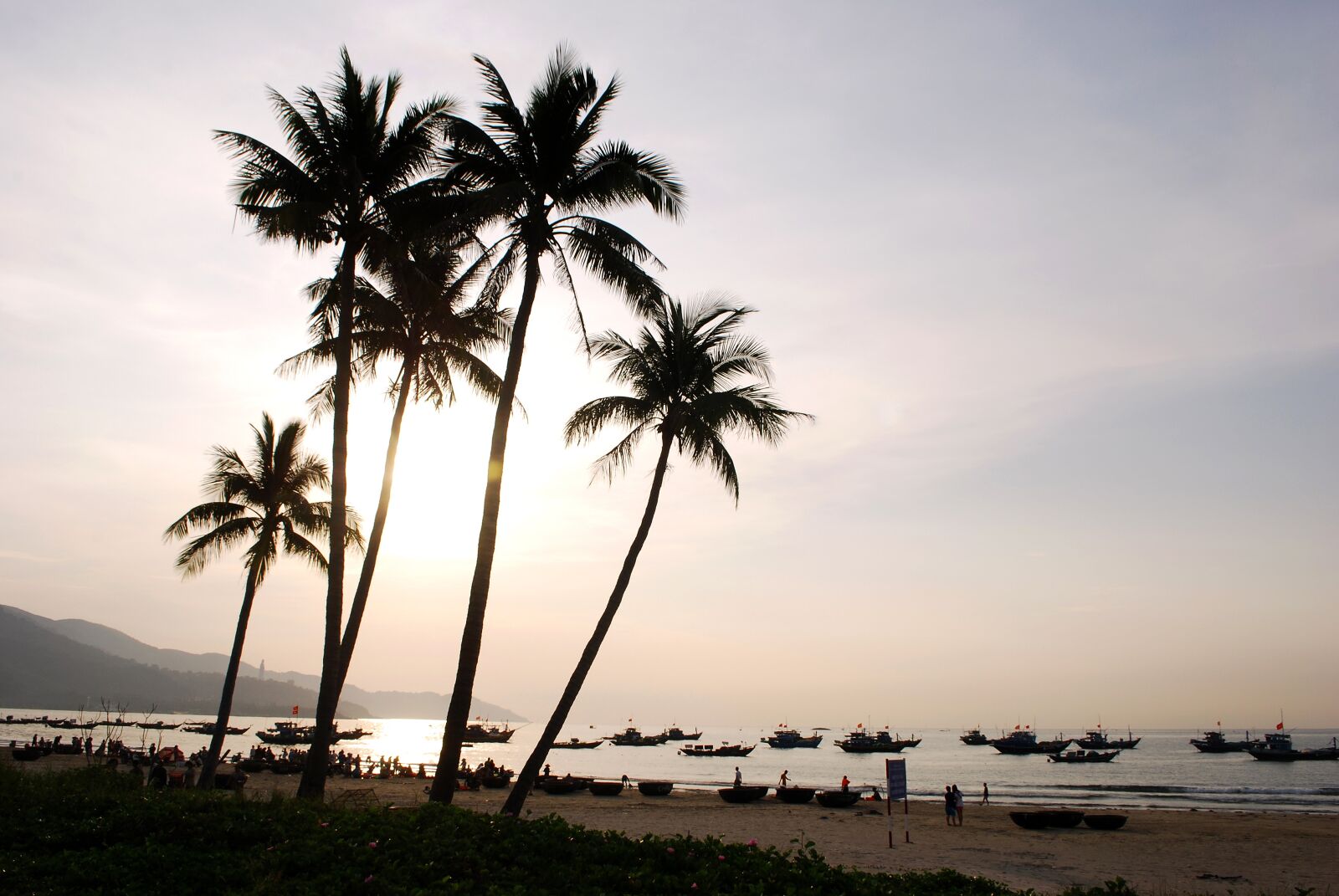 Nikon D60 sample photo. Coconut tree, melons, the photography