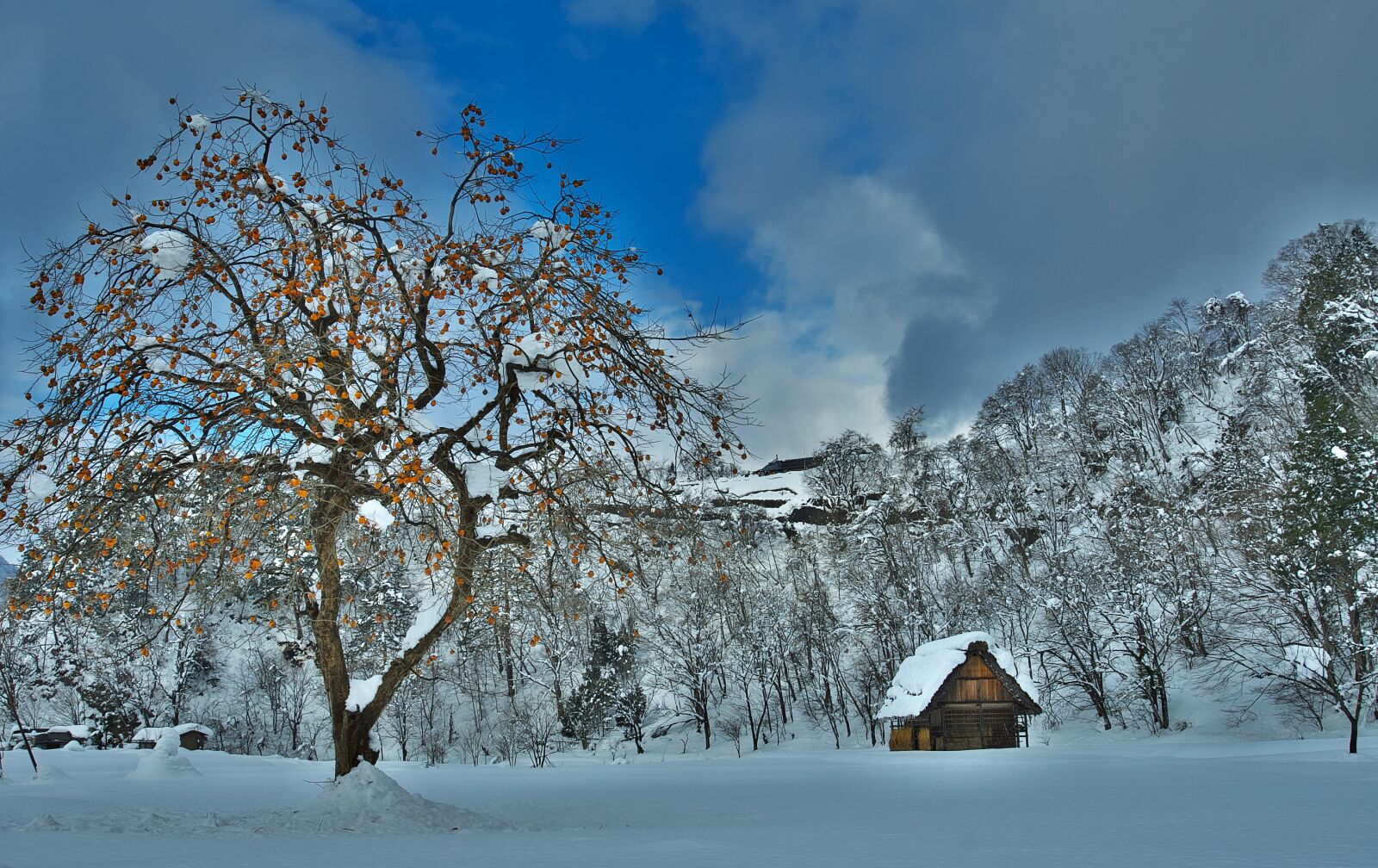 Canon EOS 30D sample photo. Shirakawa go, winter, persimmon photography