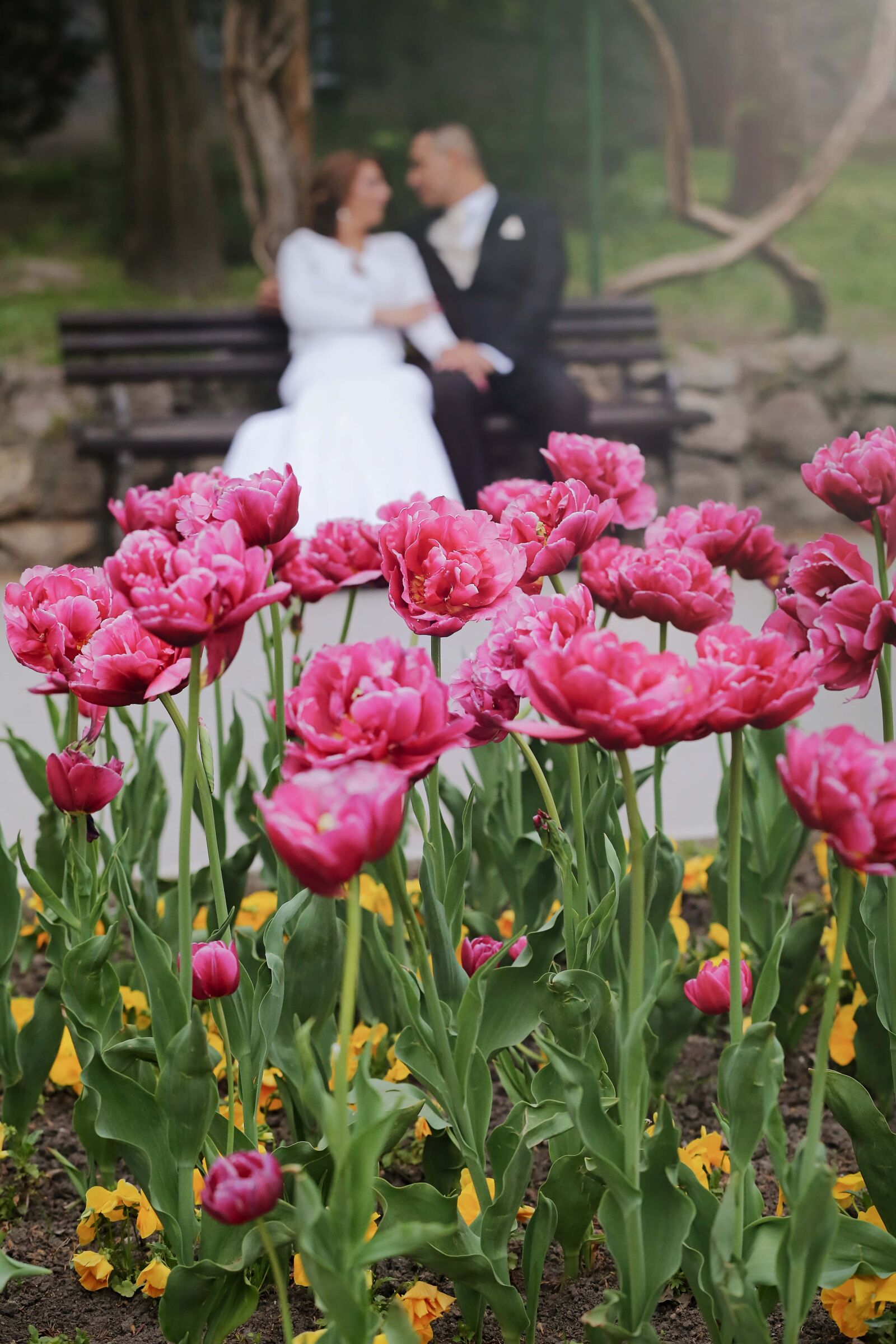Canon EOS 5D Mark III sample photo. Garden, tulips, romantic, bride photography