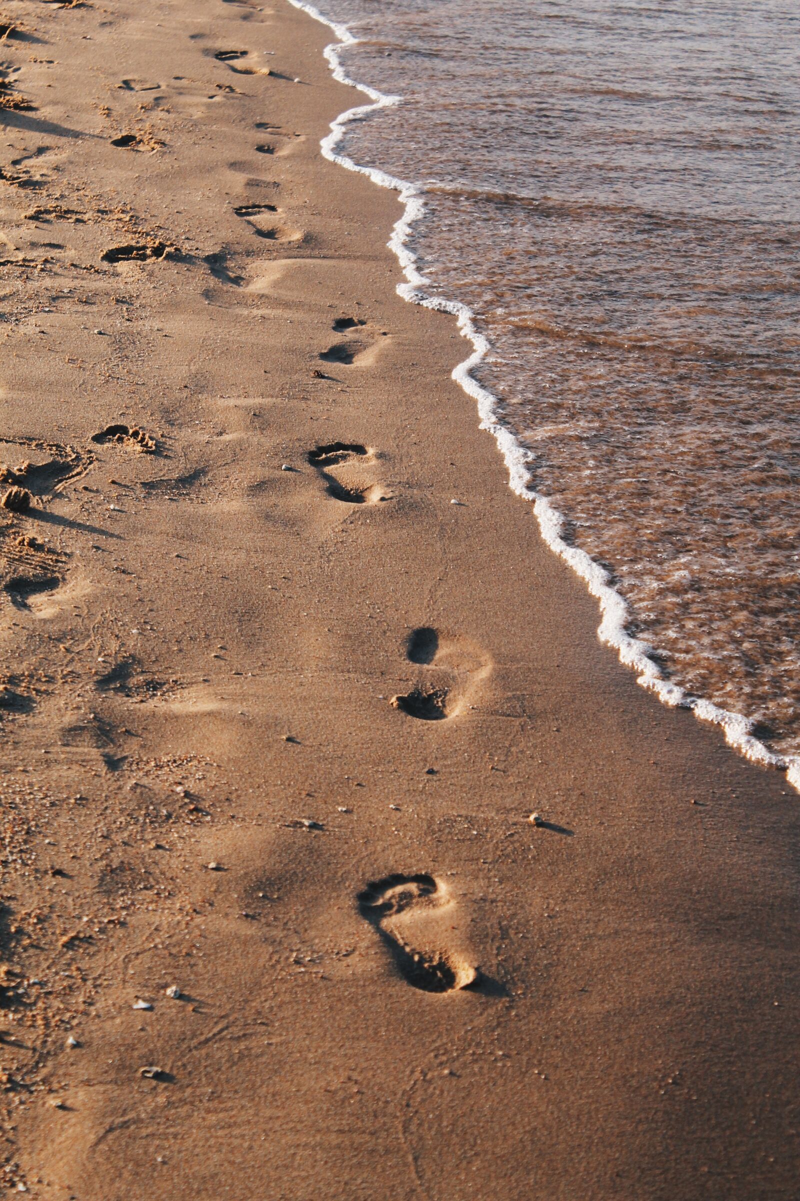 Canon EOS 1100D (EOS Rebel T3 / EOS Kiss X50) sample photo. Sea, beach, sand photography