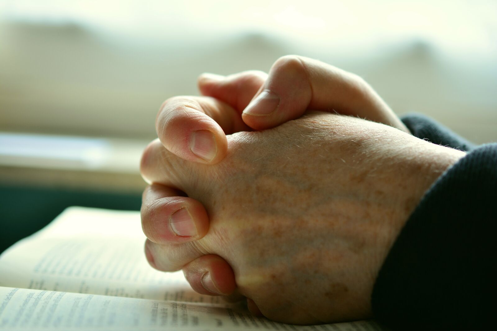 Nikon D5200 sample photo. Pray, hands, praying hands photography