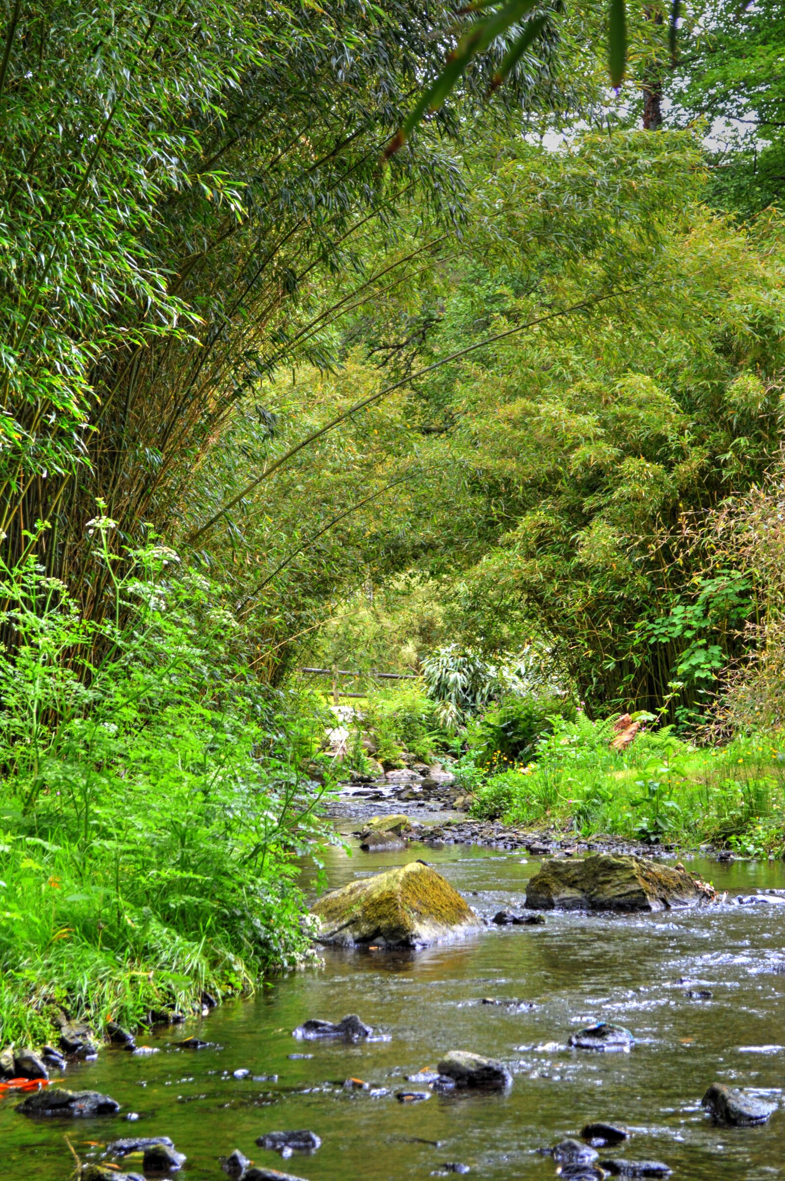 Nikon D3200 sample photo. River, vegetation, nature photography