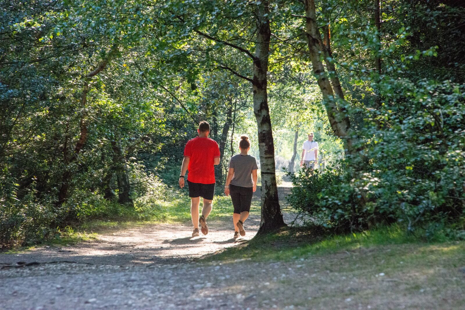 Nikon D800 sample photo. Park, walk, couple photography