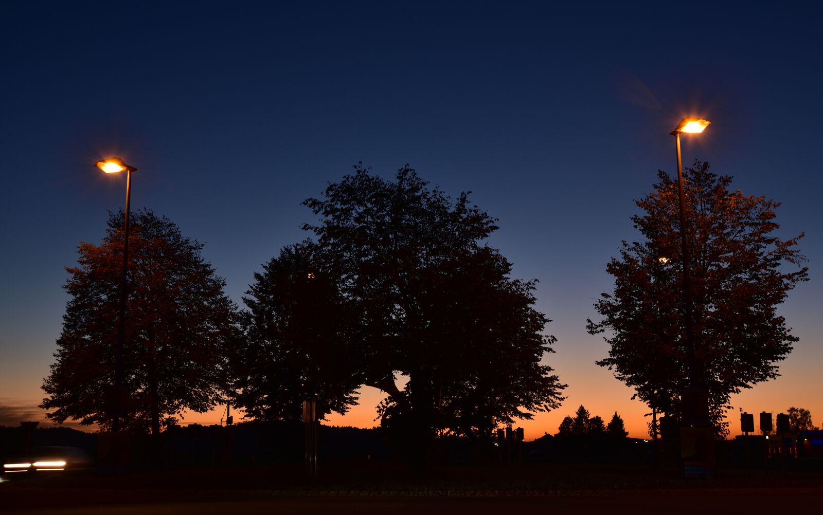 Nikon D750 sample photo. Sunset, blue hour, trees photography
